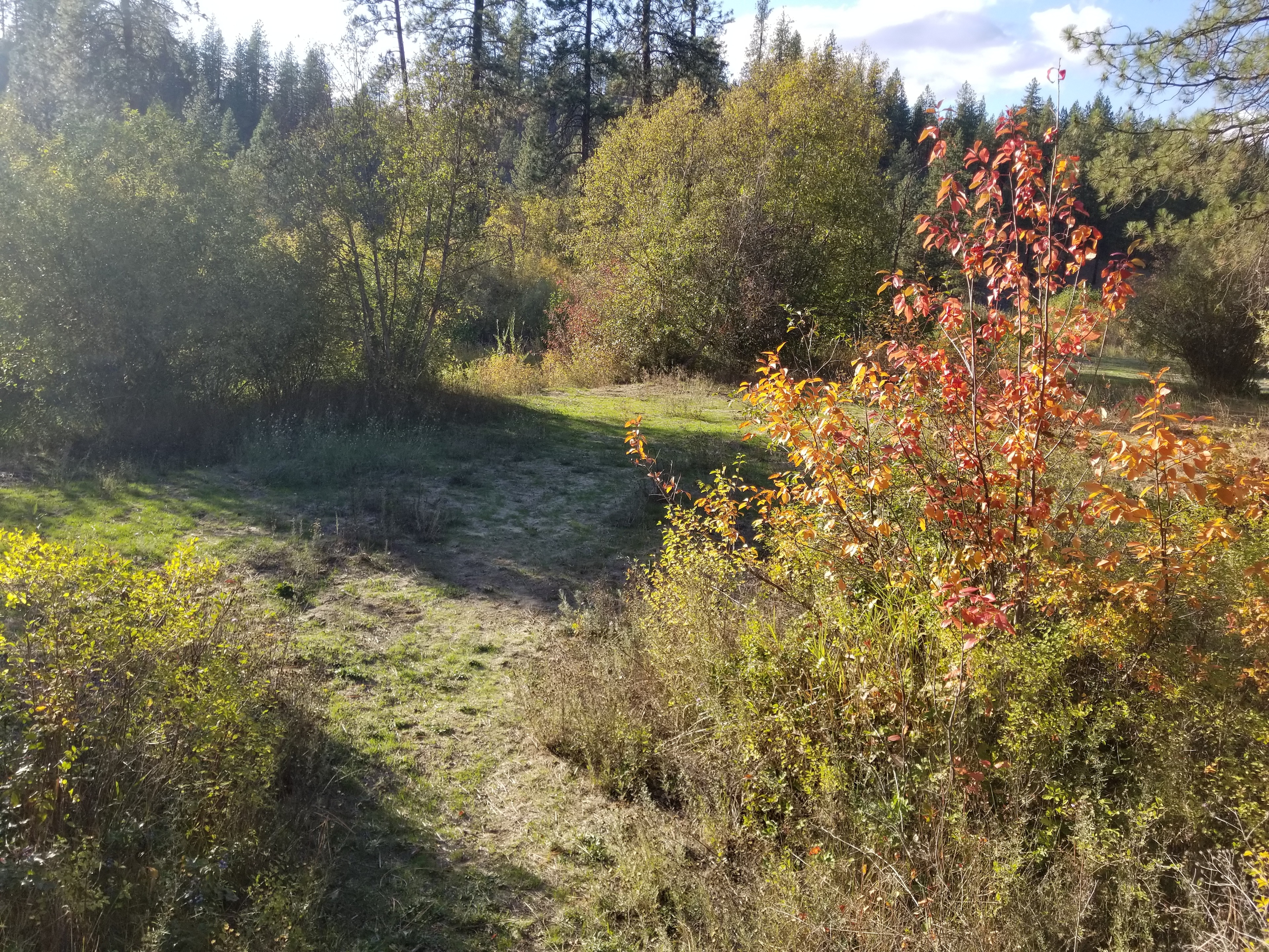 Creekside Camping 509