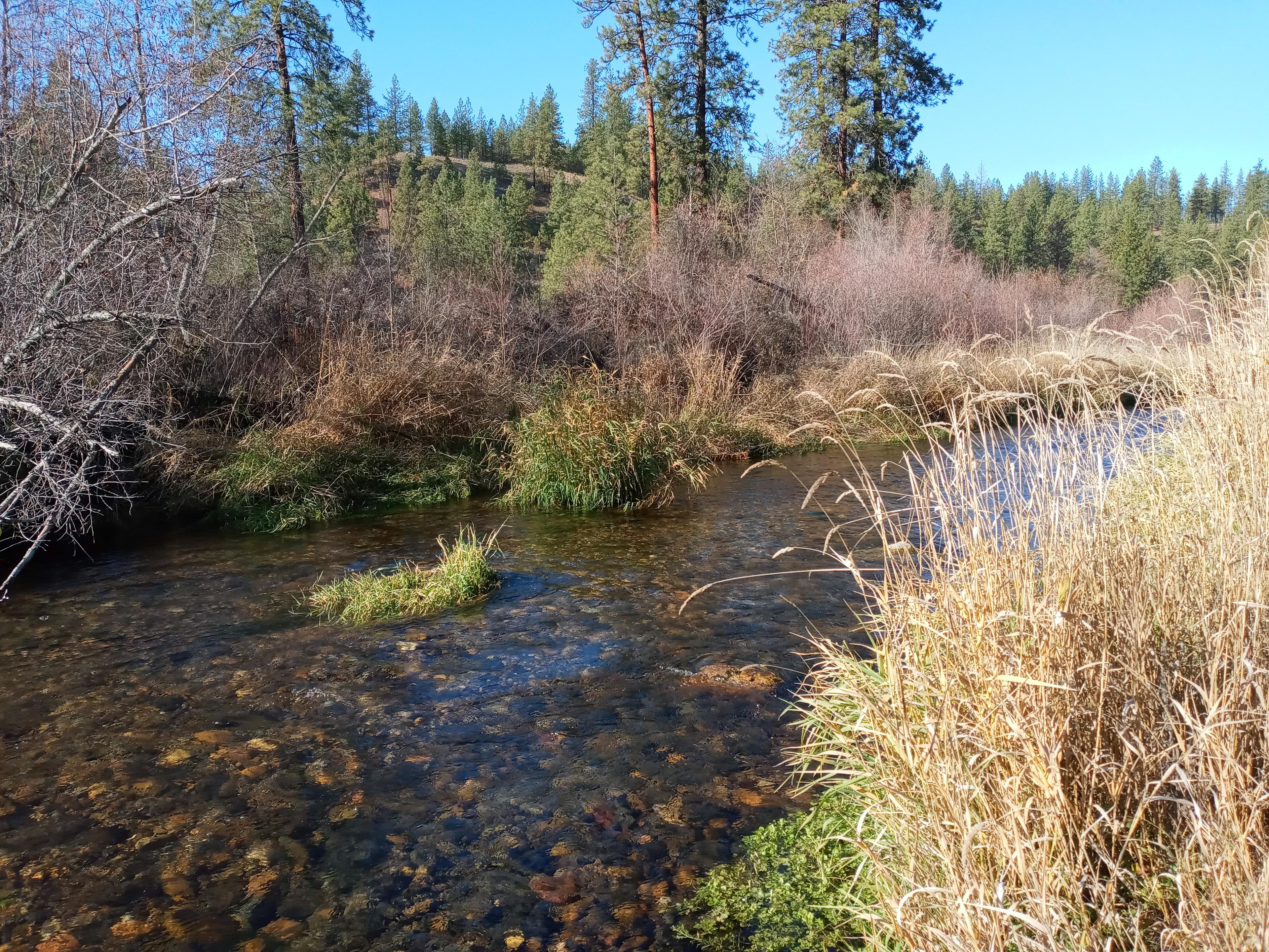 Creekside Camping 509