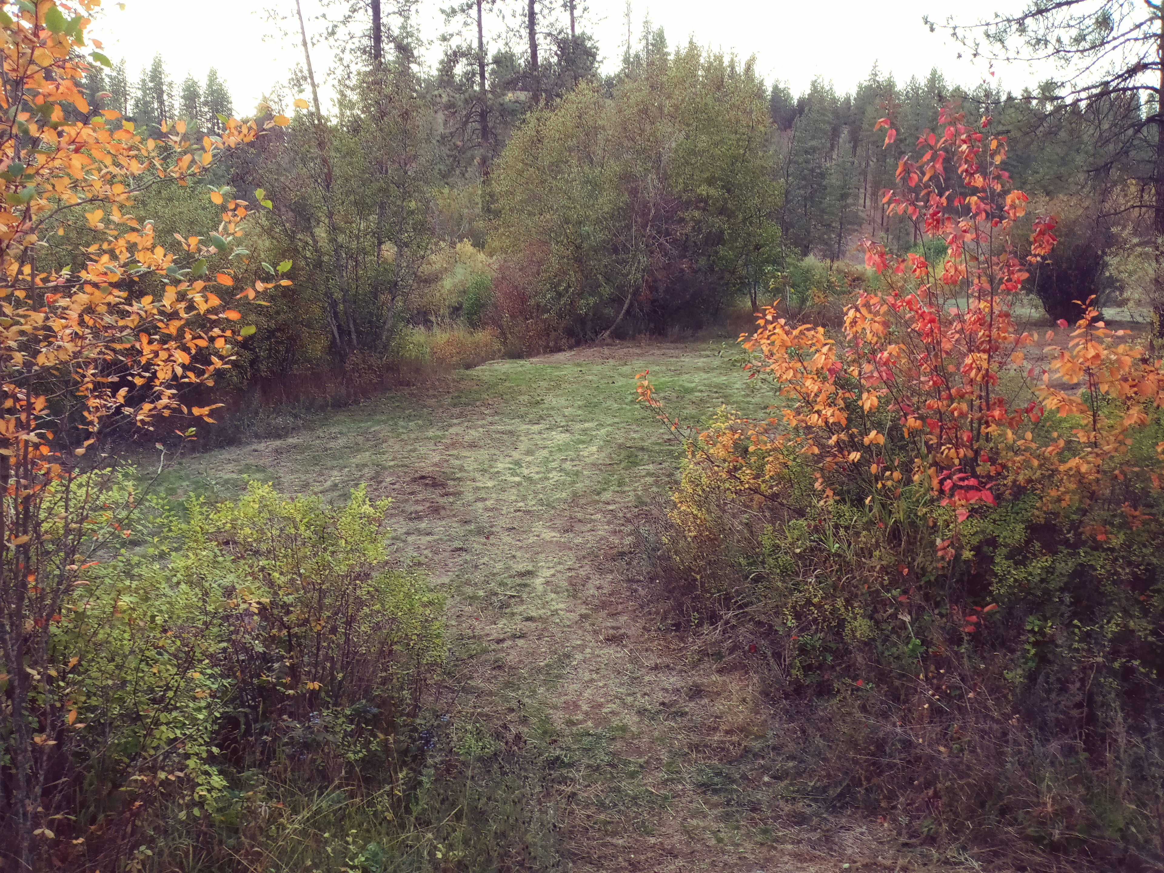 Creekside Camping 509