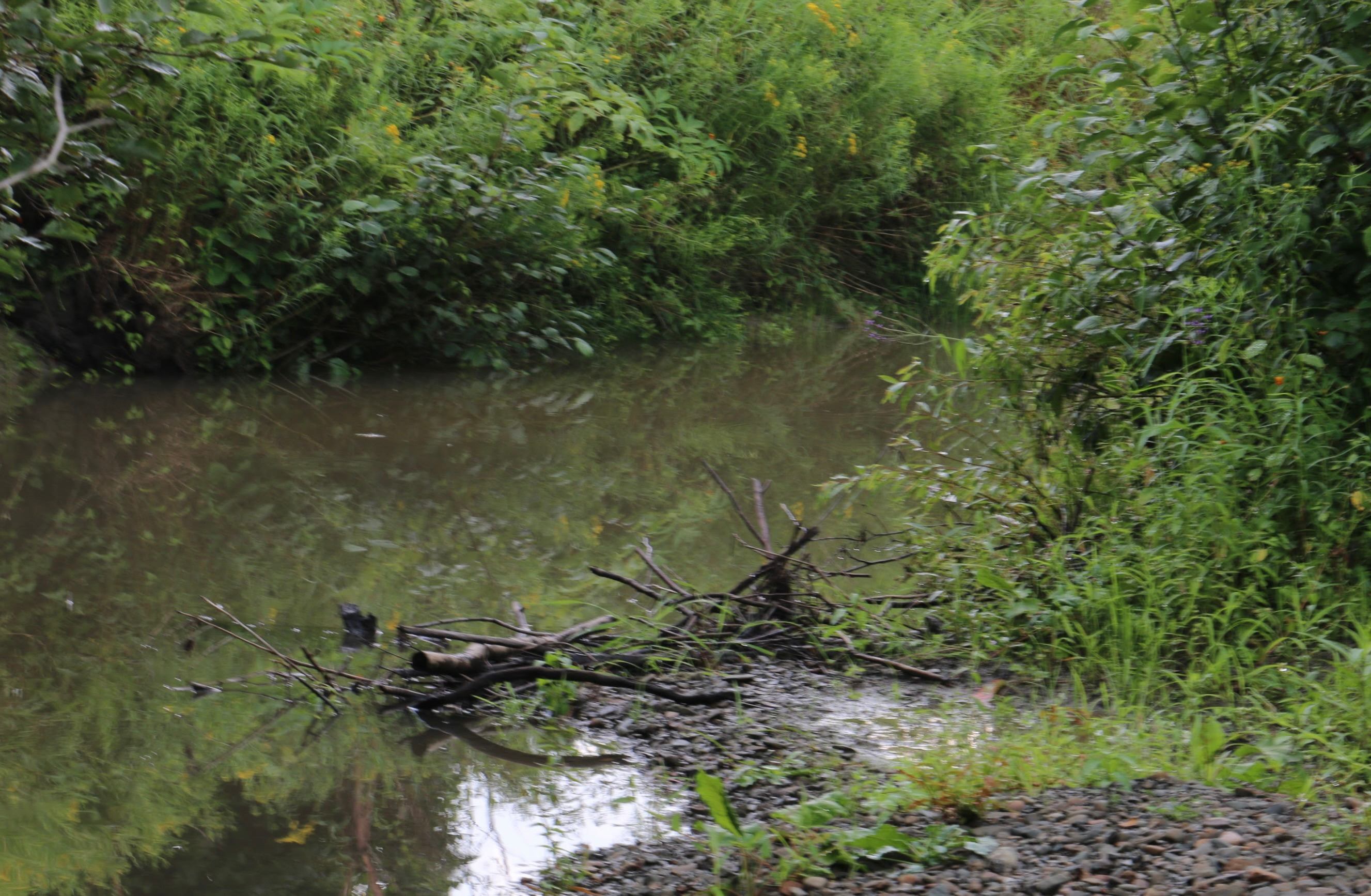 MLAND CHENANGO PONDS