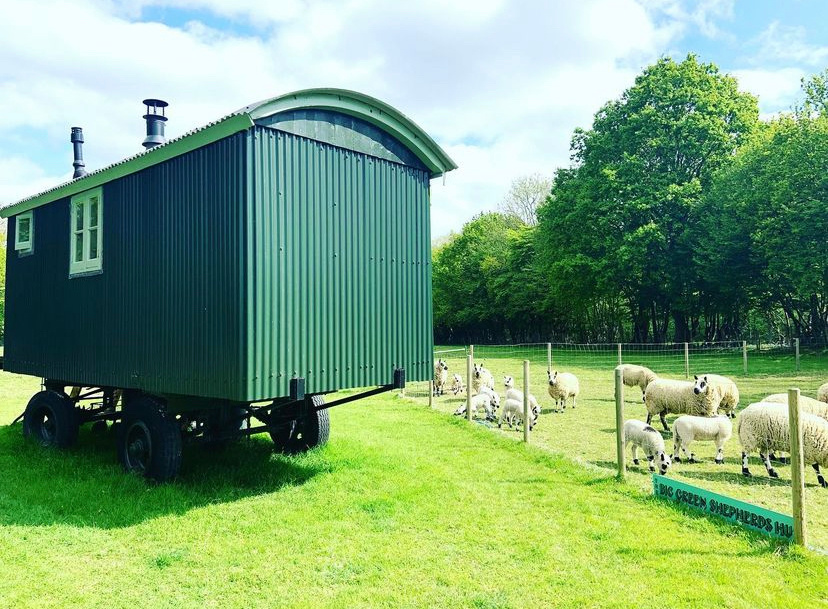 The Big Green Shepherds Hut
