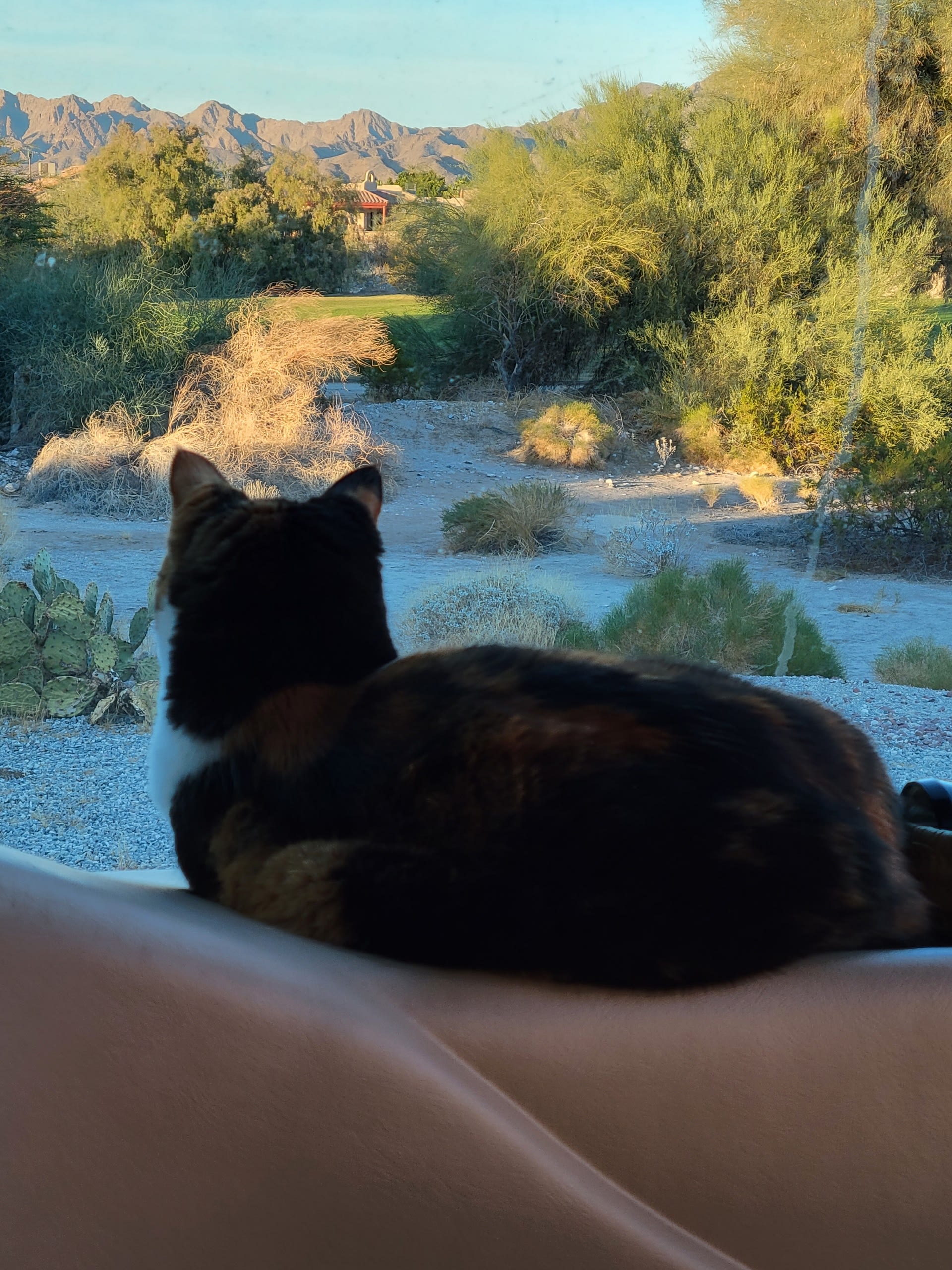 RV site parallels Golf Course