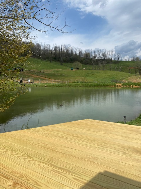 RugbyCreek Pet Friendly Rentals