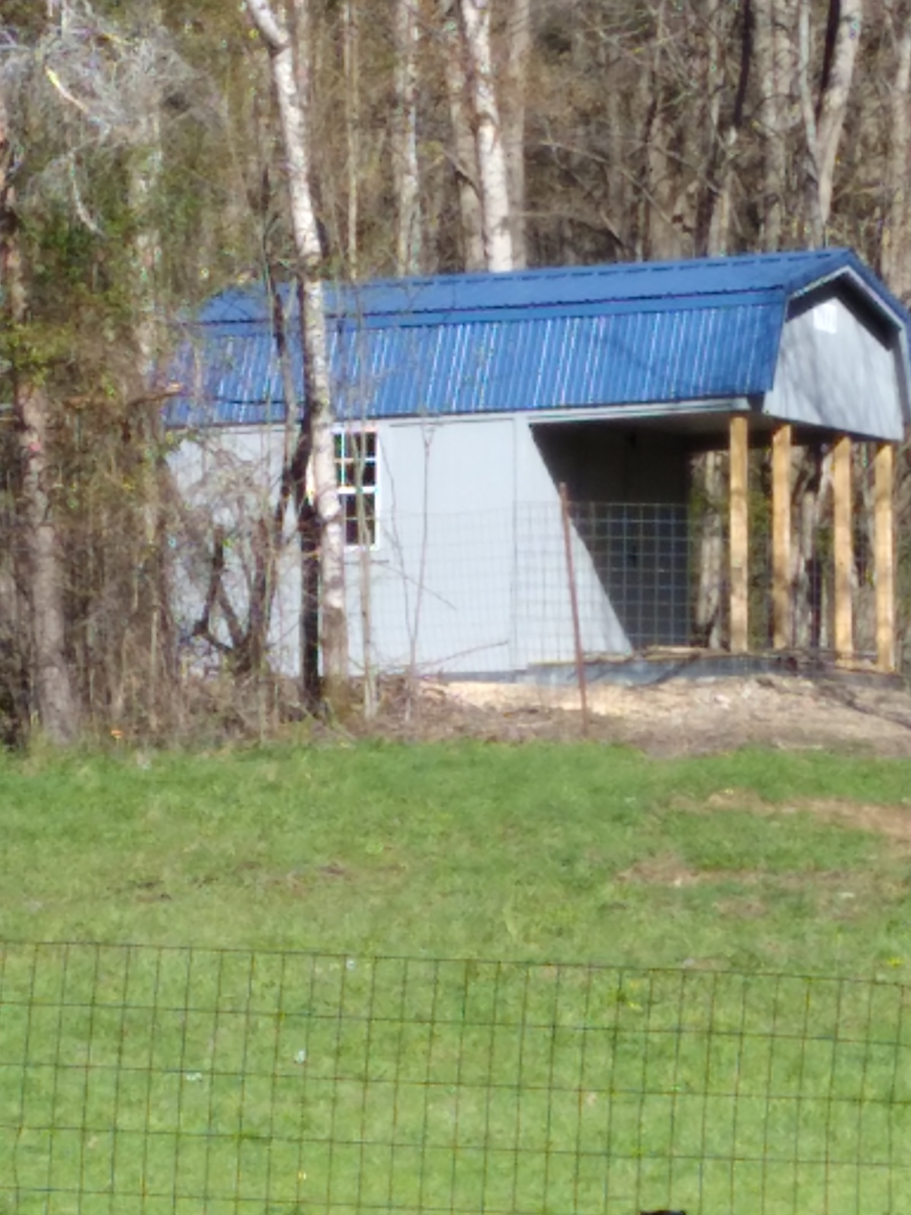 Little cabin in the woods for front porch sitting