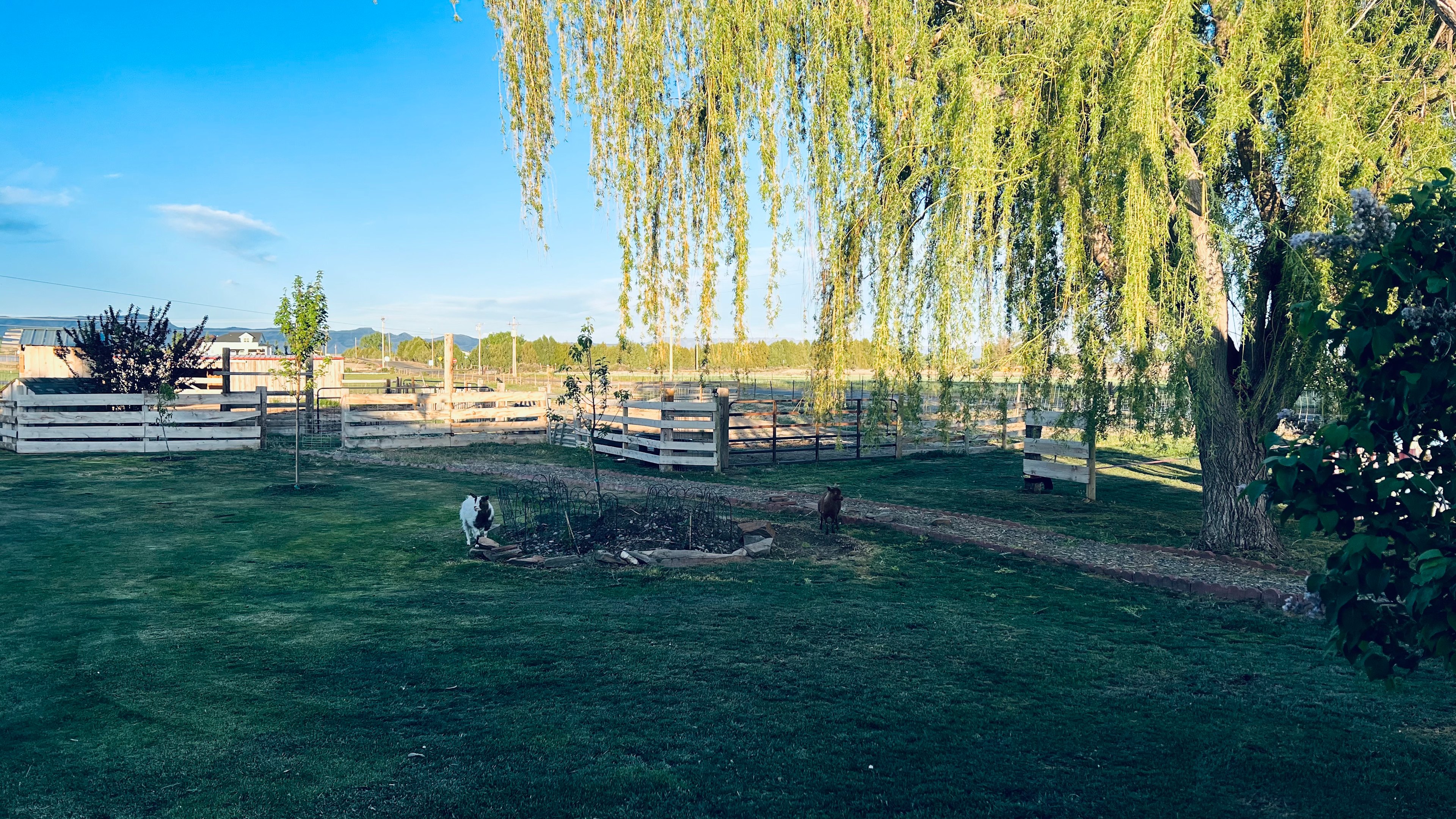 Near Fruita Bike Trails