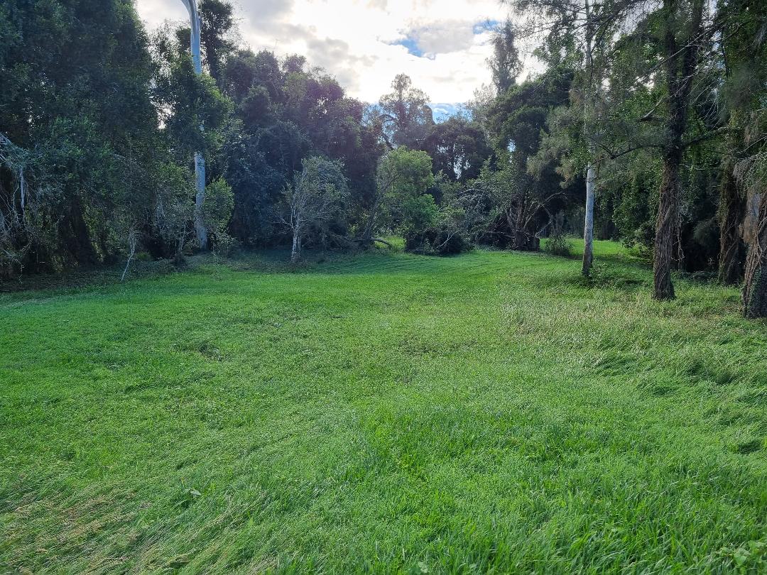 Camp 1  with access to the creek.