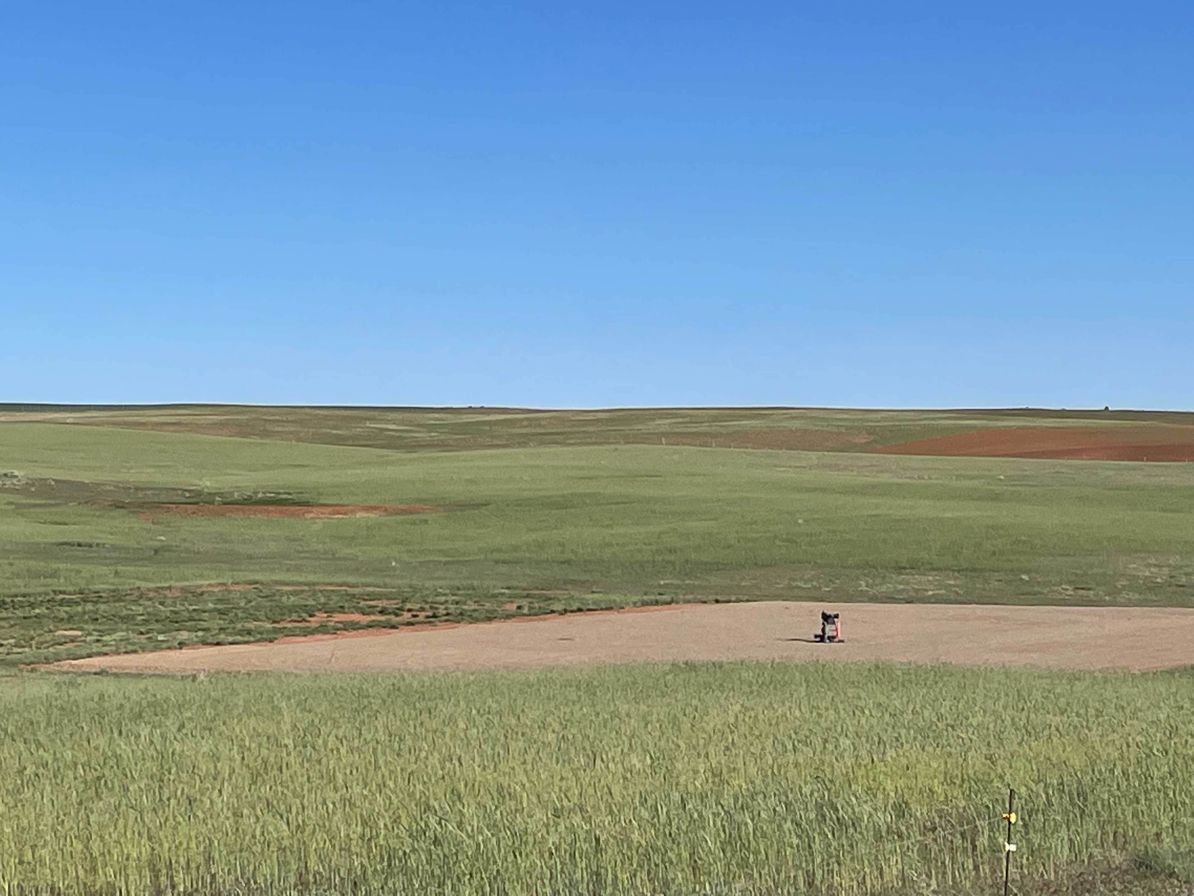 Pleasant View Pasture