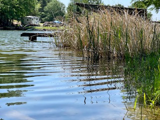 Vista at the Lake
