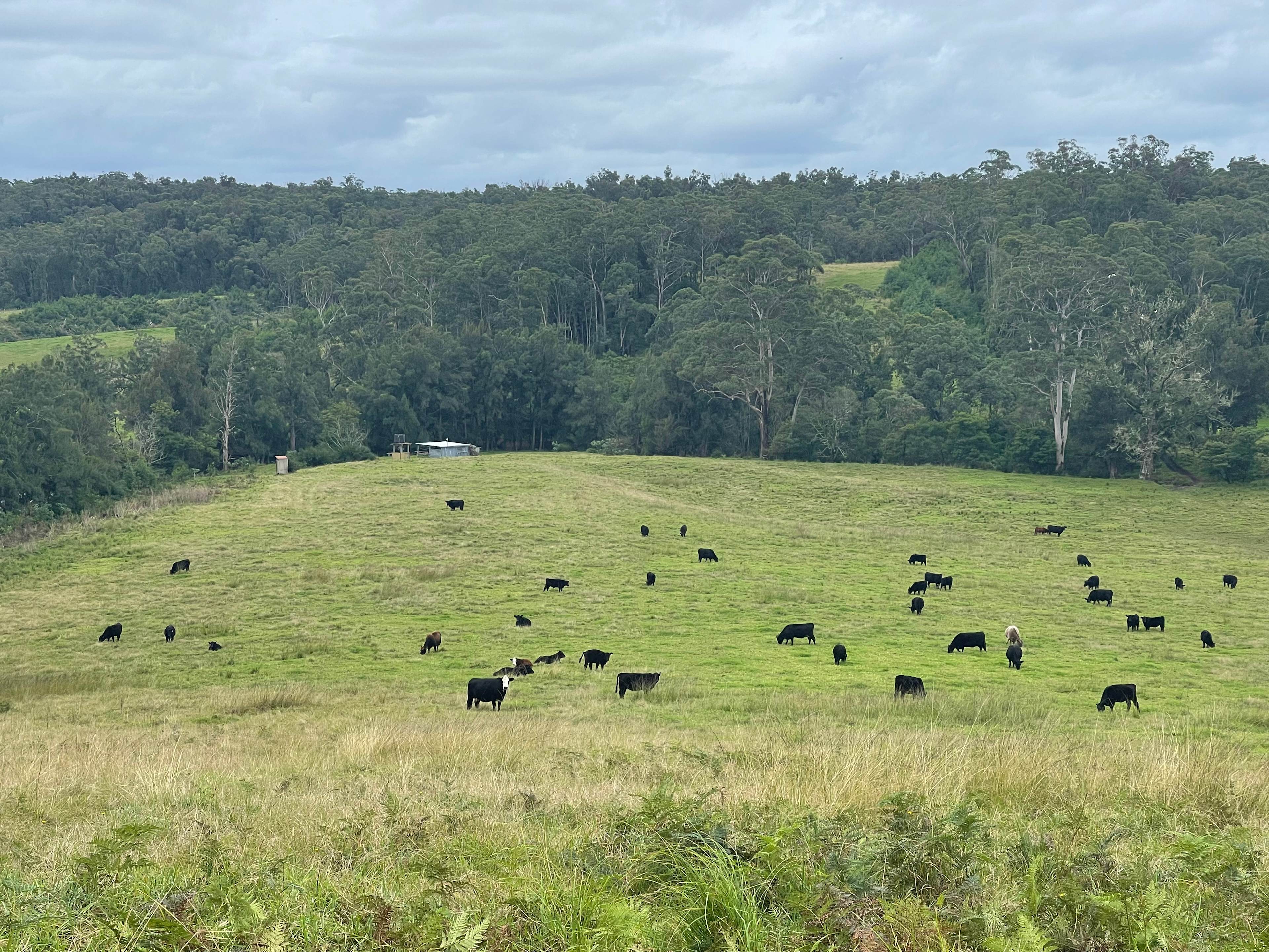River Run Farm