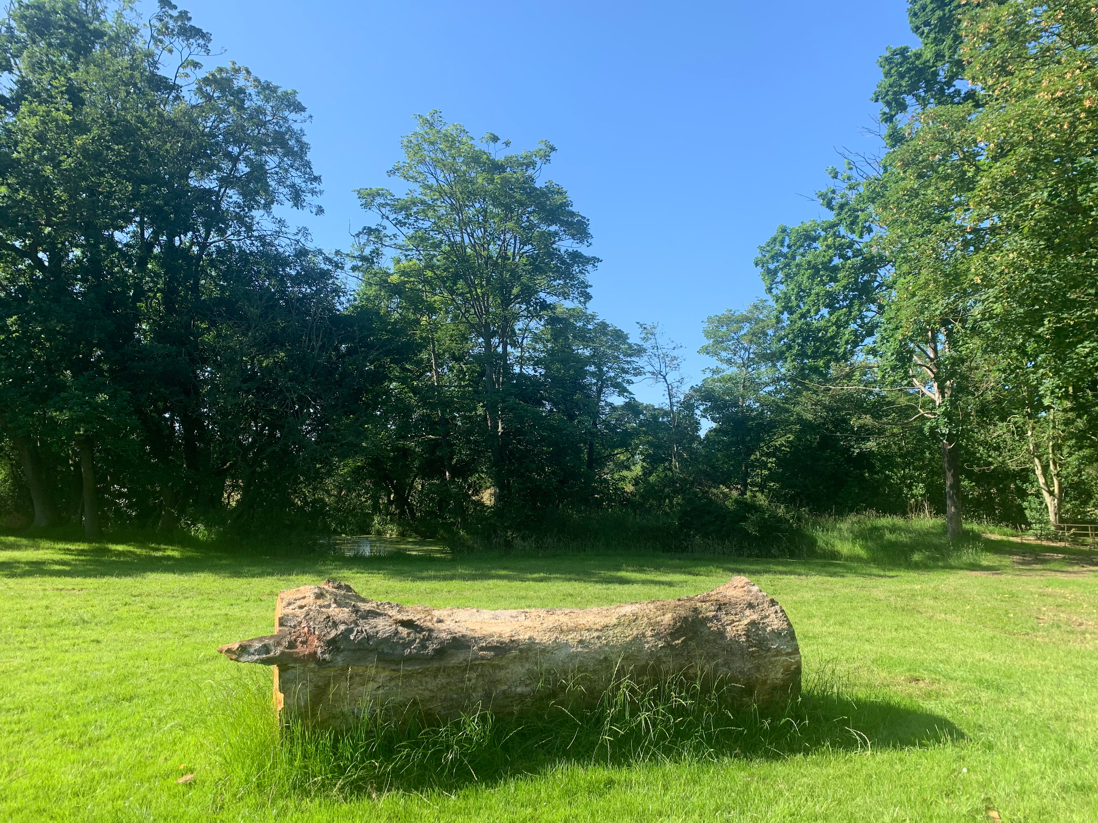 Archer’s Field