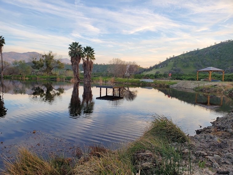 Rancho Monte Vista Pond Site