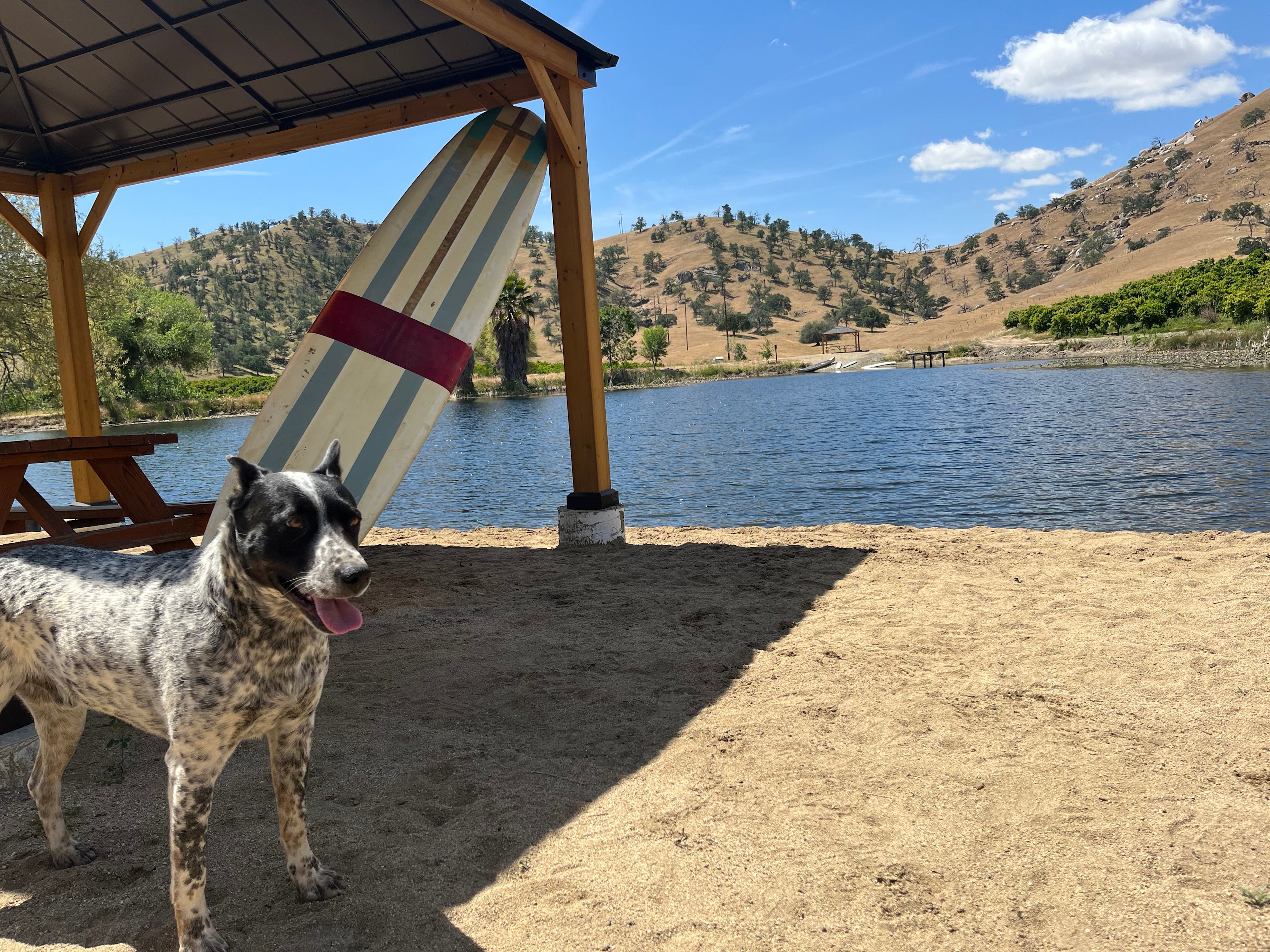Rancho Monte Vista Pond Site