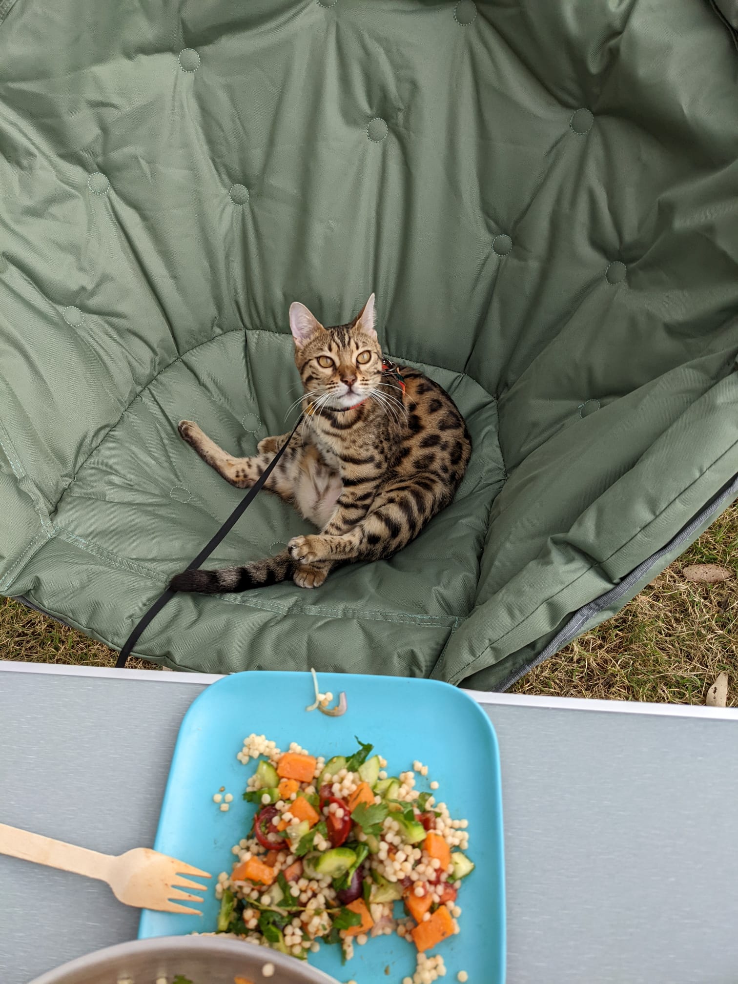 Canyon Country Camping, Glen Alice