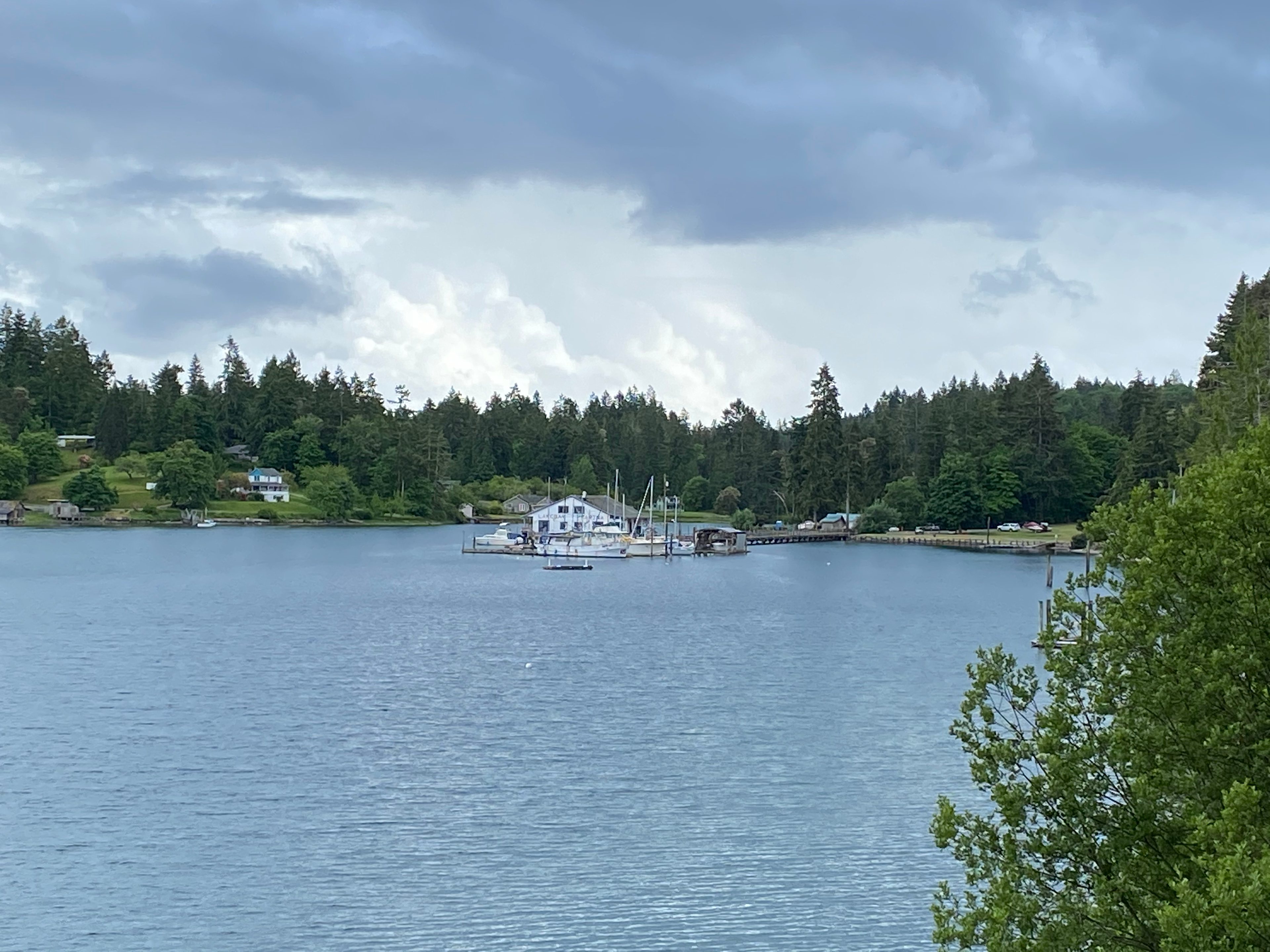 View of marina from water