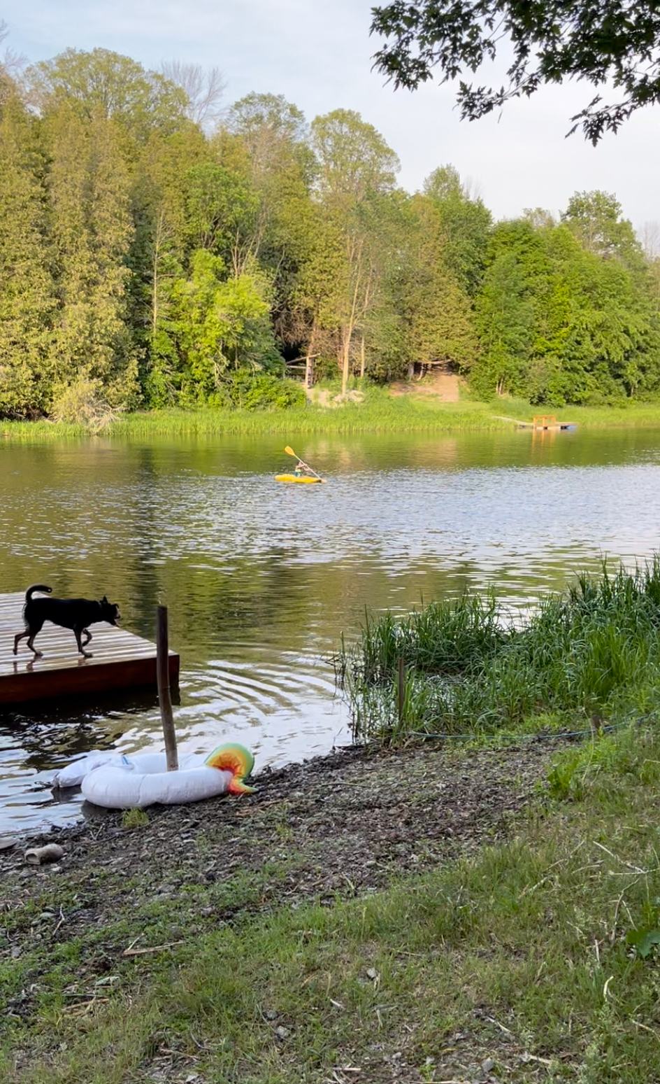 Misty Meadows Eco Retreat