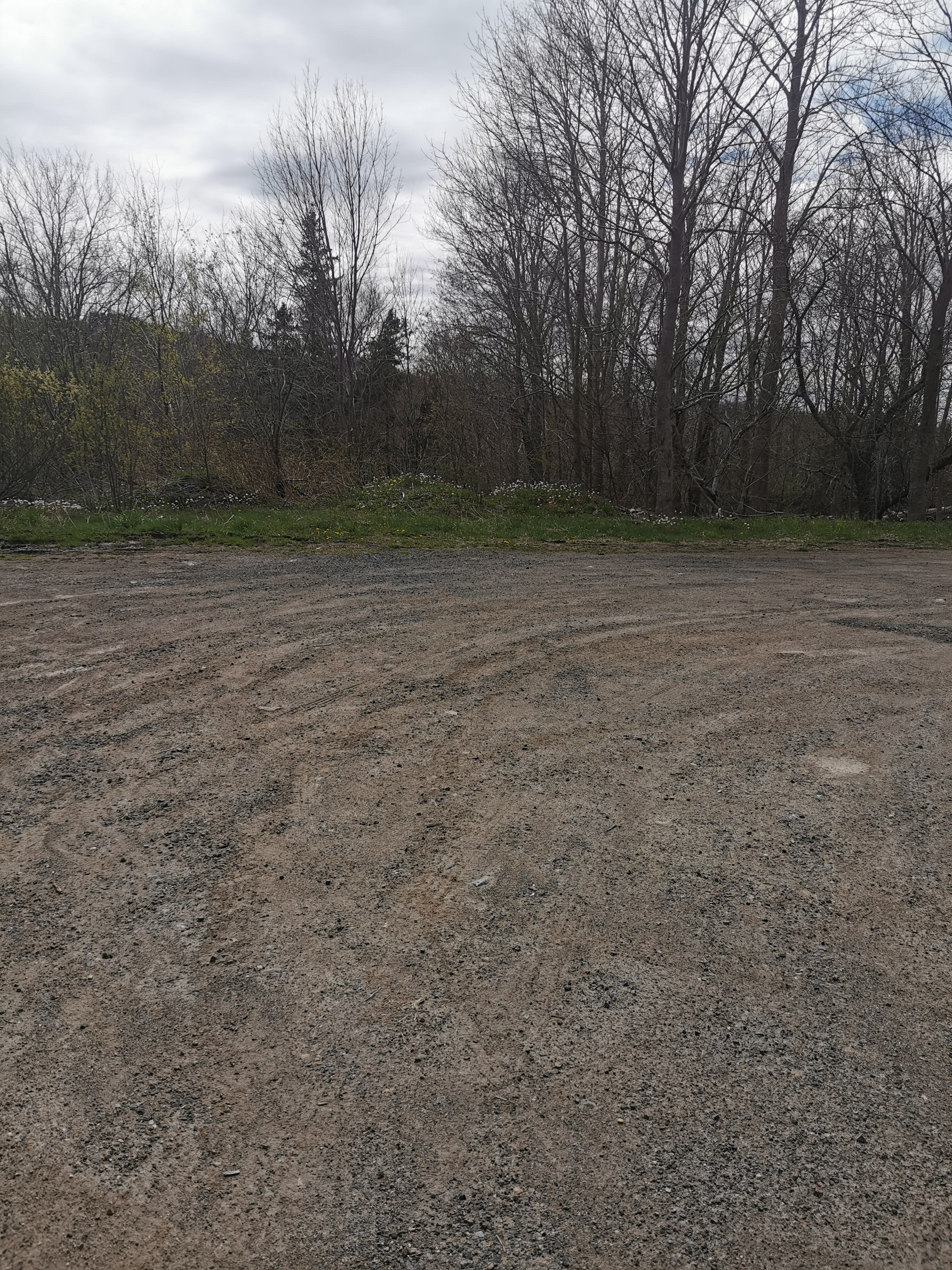 Doirie Maple Farm