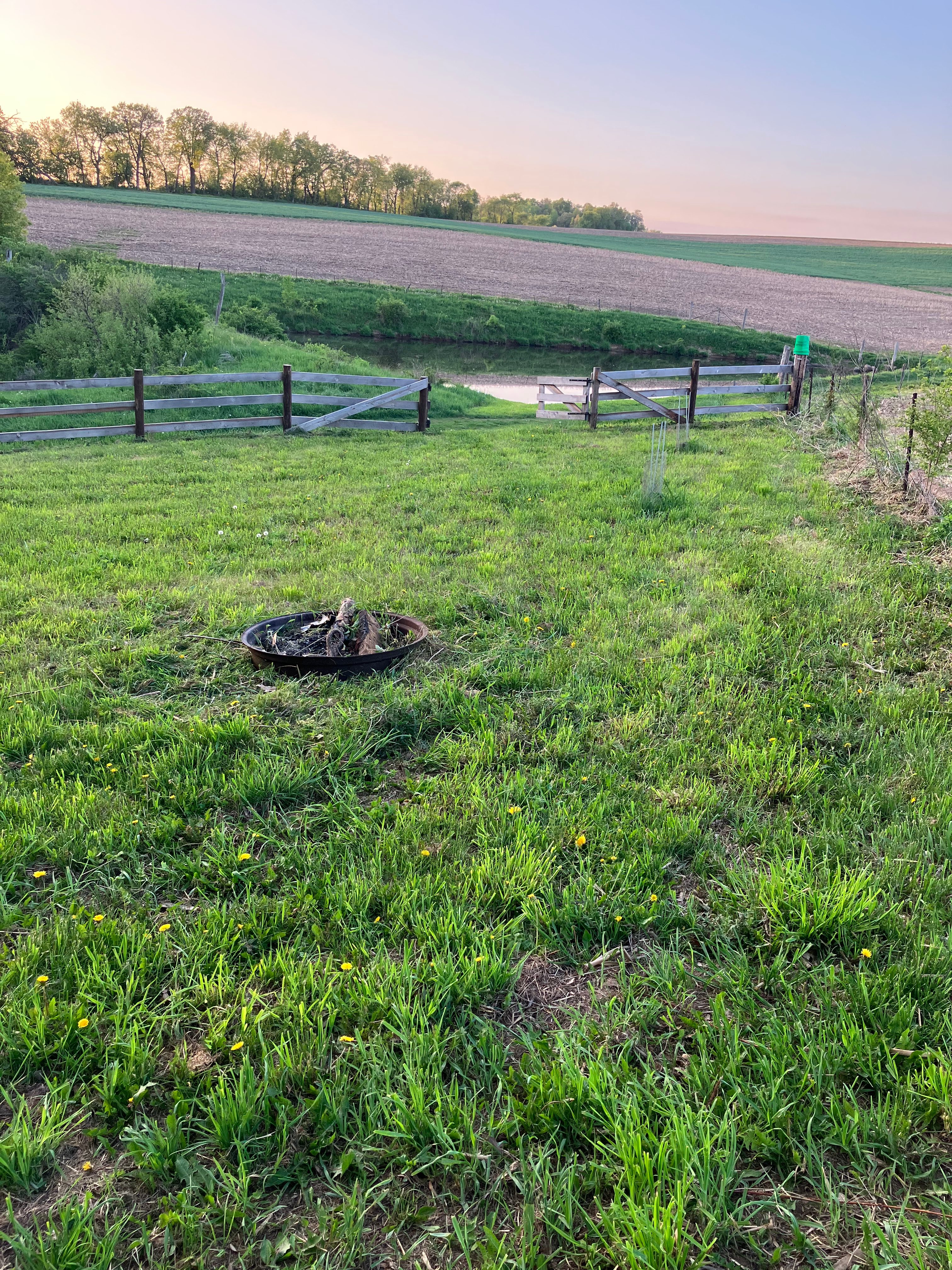 The Heifer Pasture