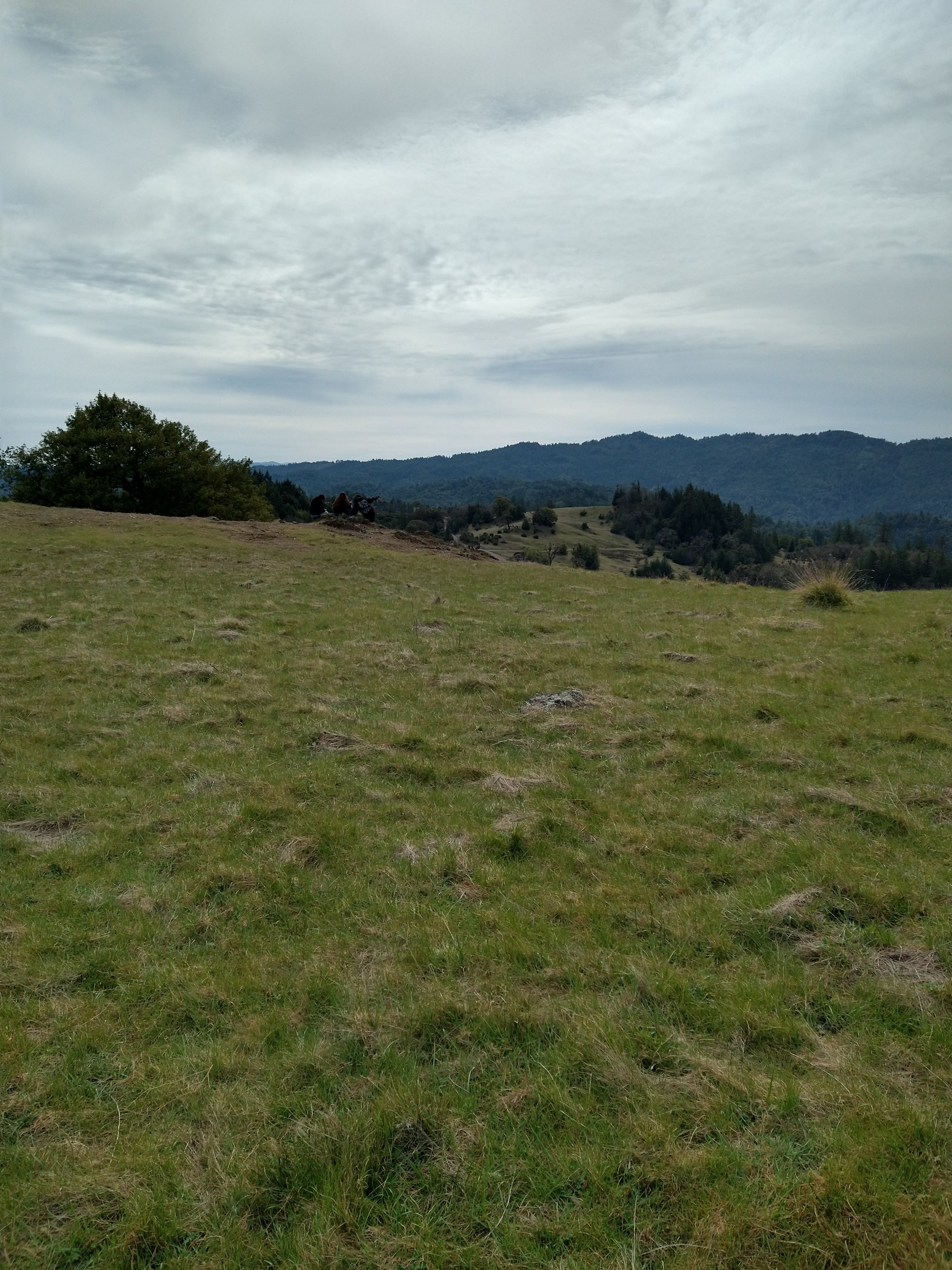 Red Wing Ranch
