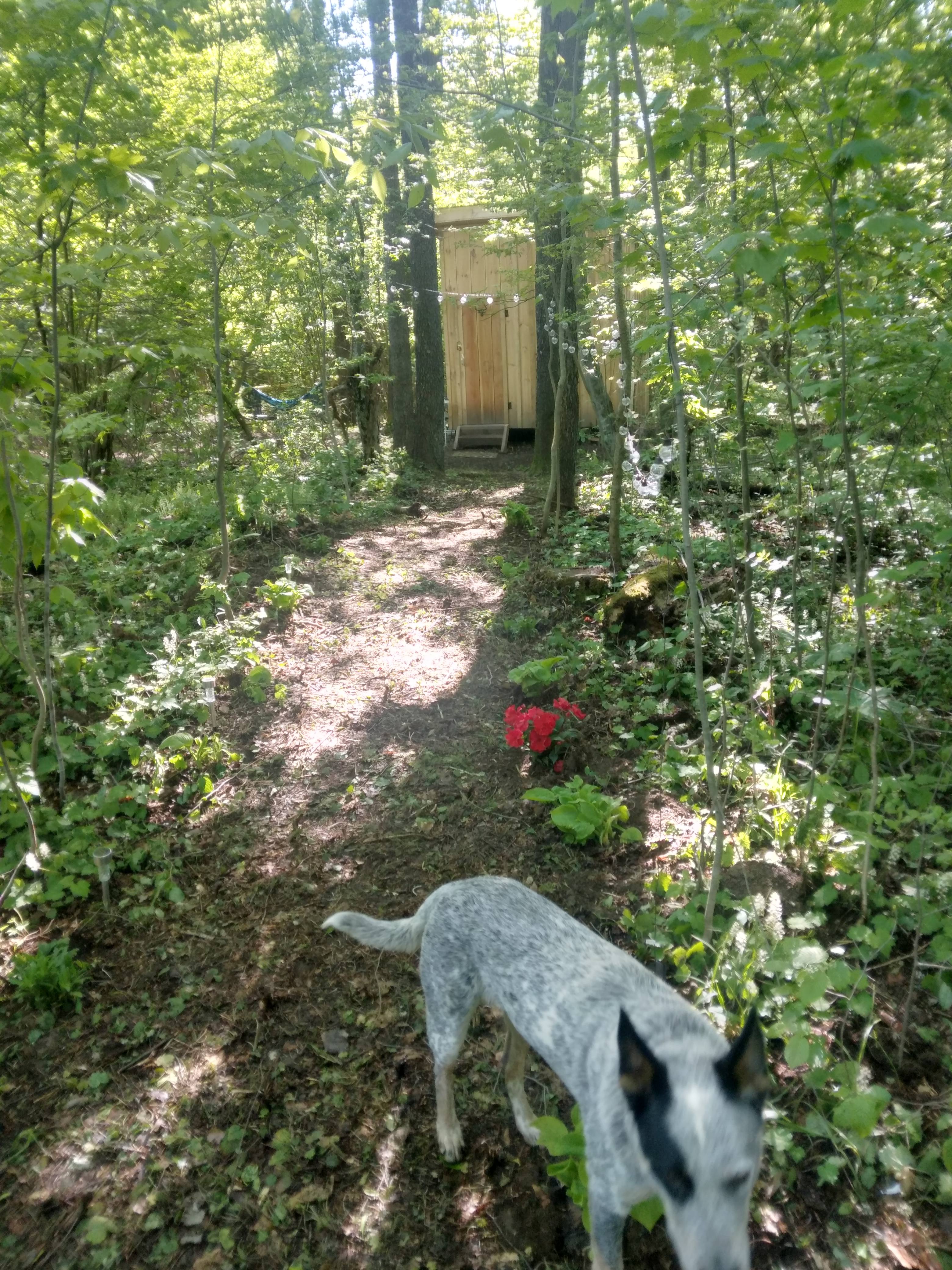 Angie's Country Cabins B&B