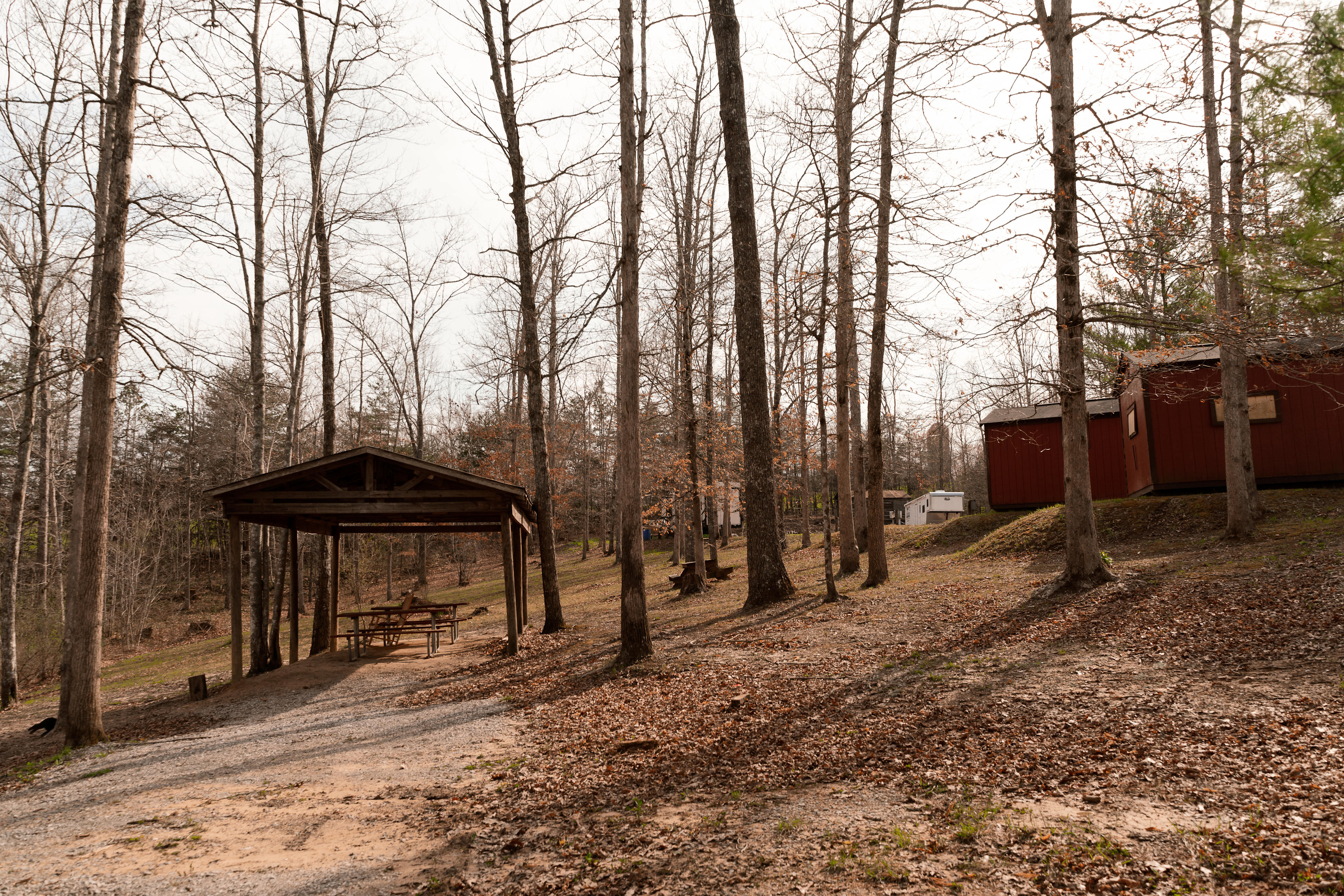 Laurel Creek Campground