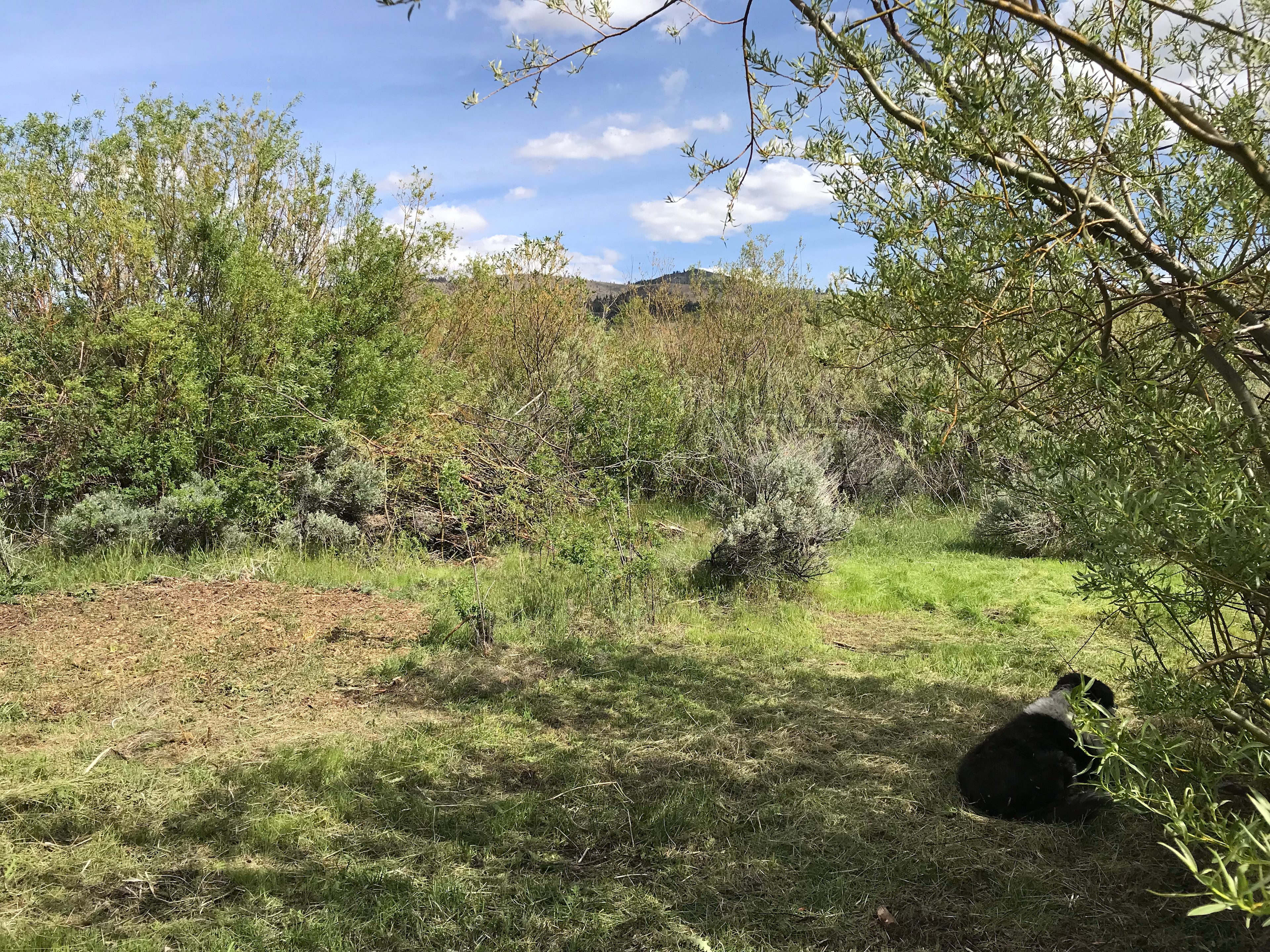 Flyte and Sparrow natural interlude