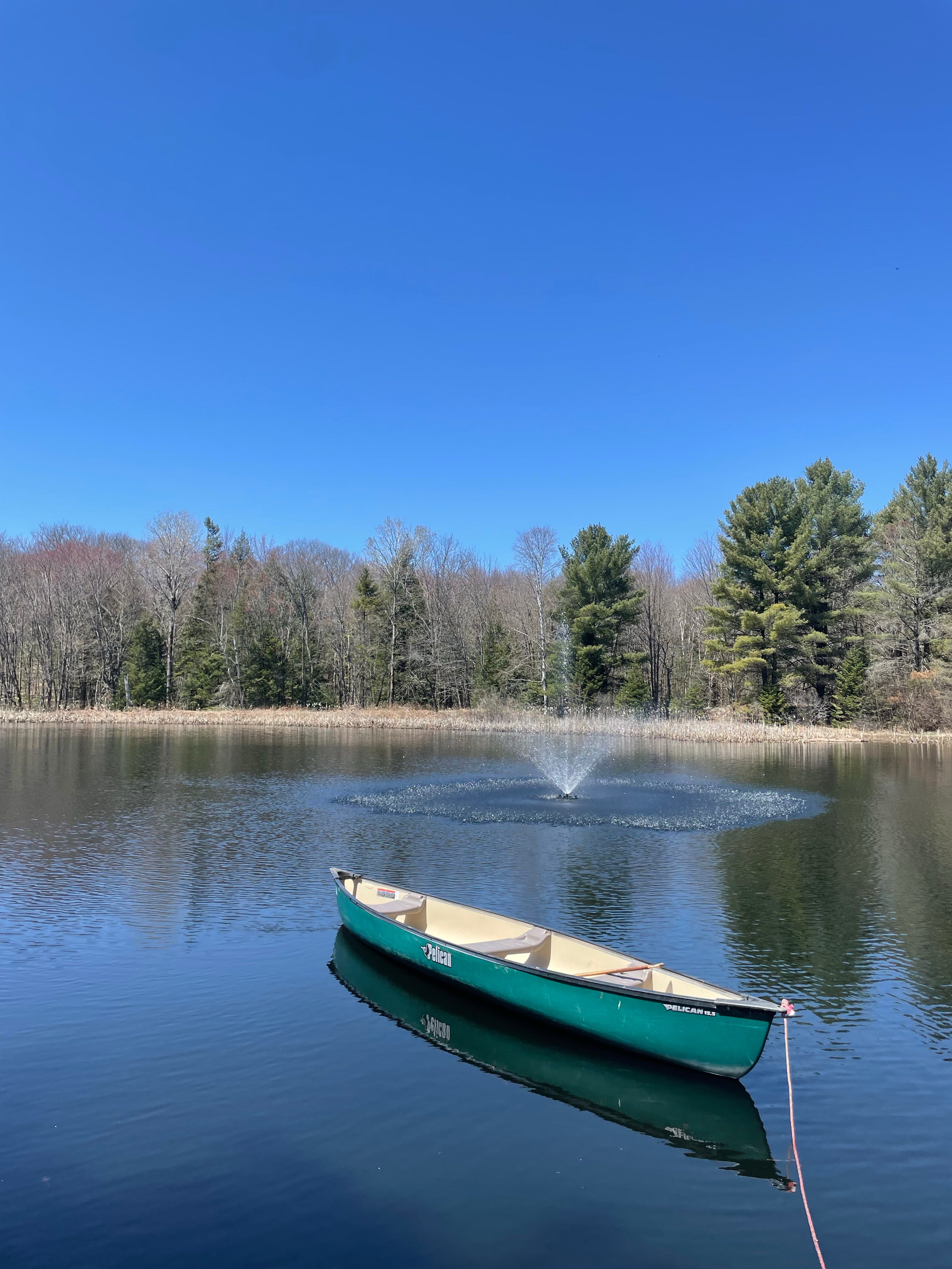 Pond House Camping