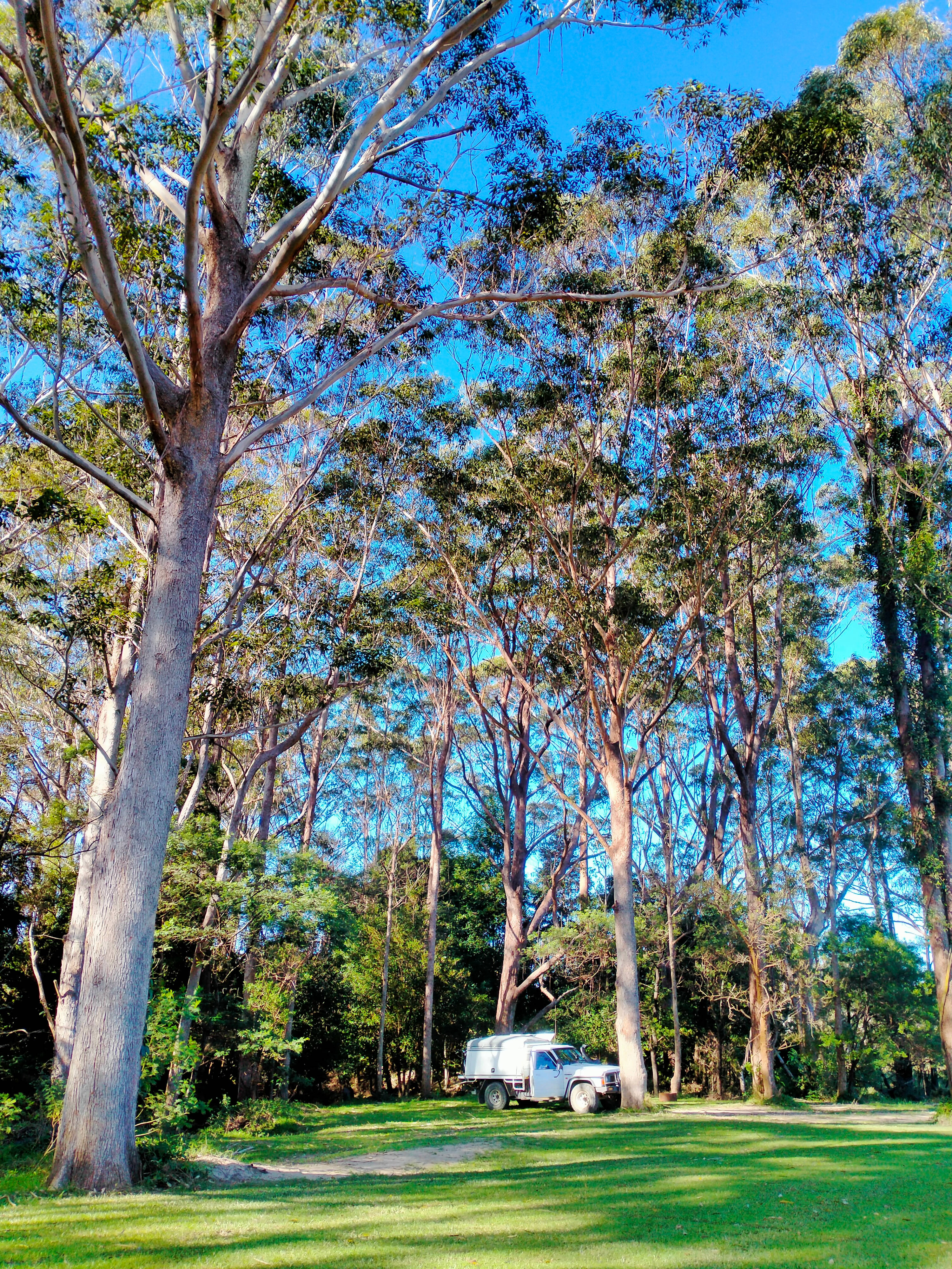 Where we camped