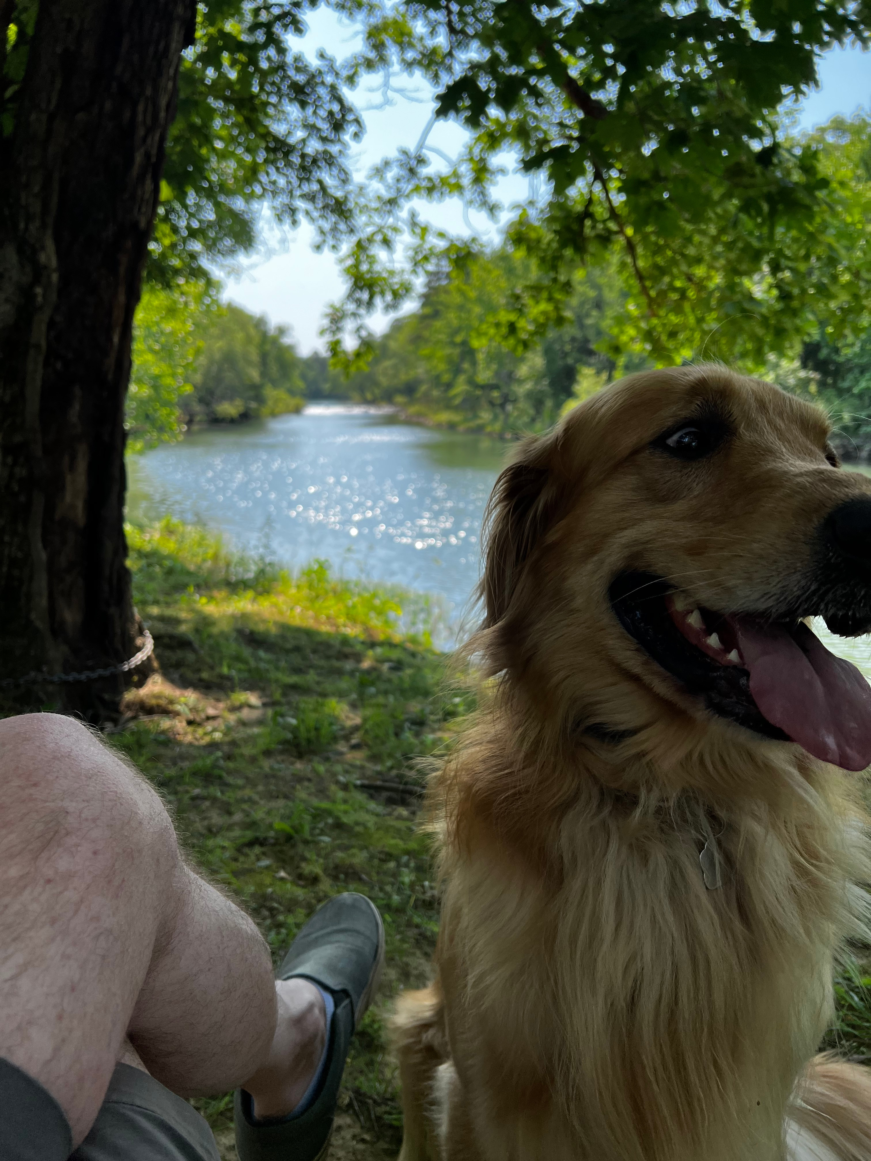 Yearling Ridge Riverfront Camp