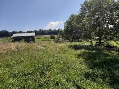 W.T. Farm?