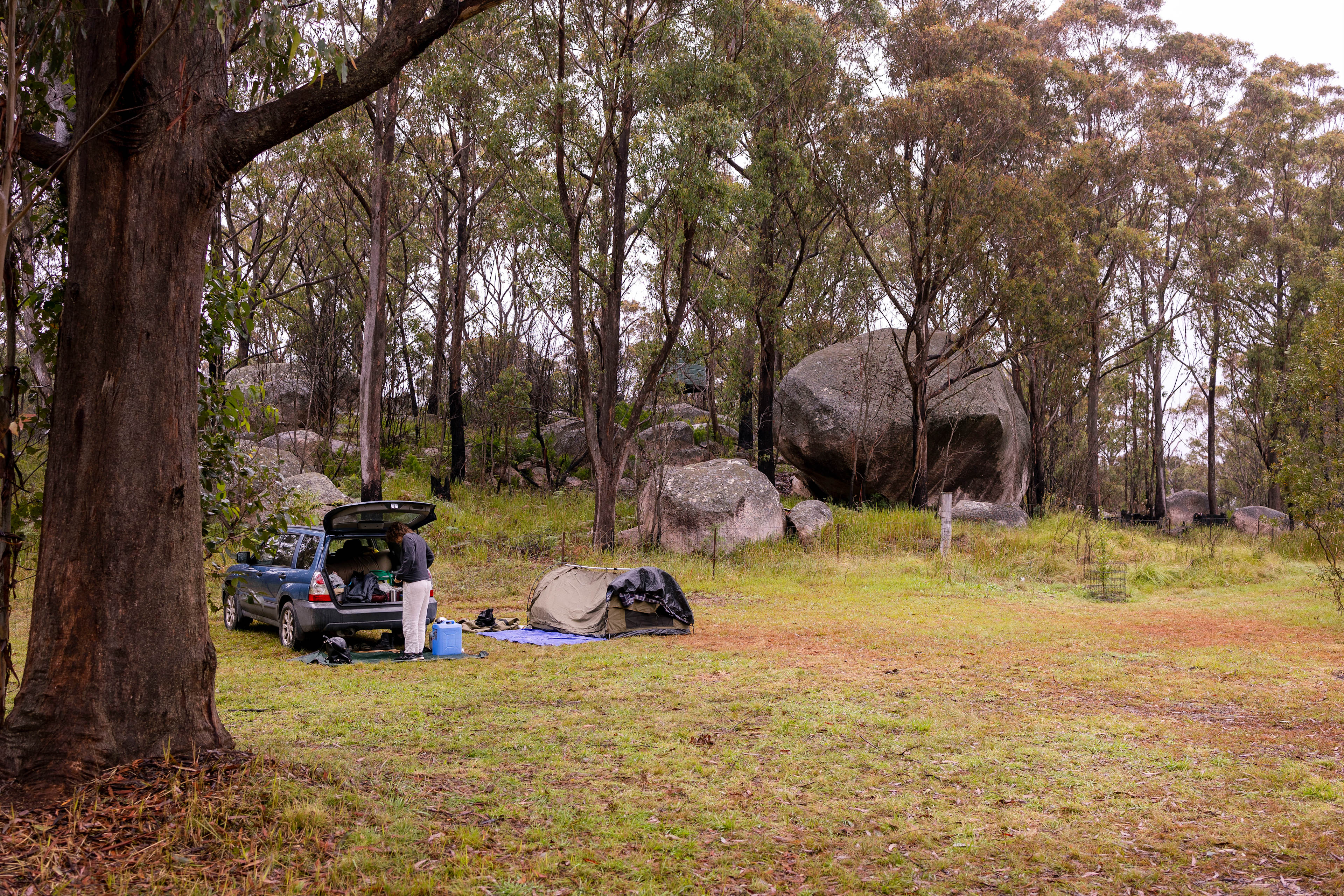 Some of many boulders around.