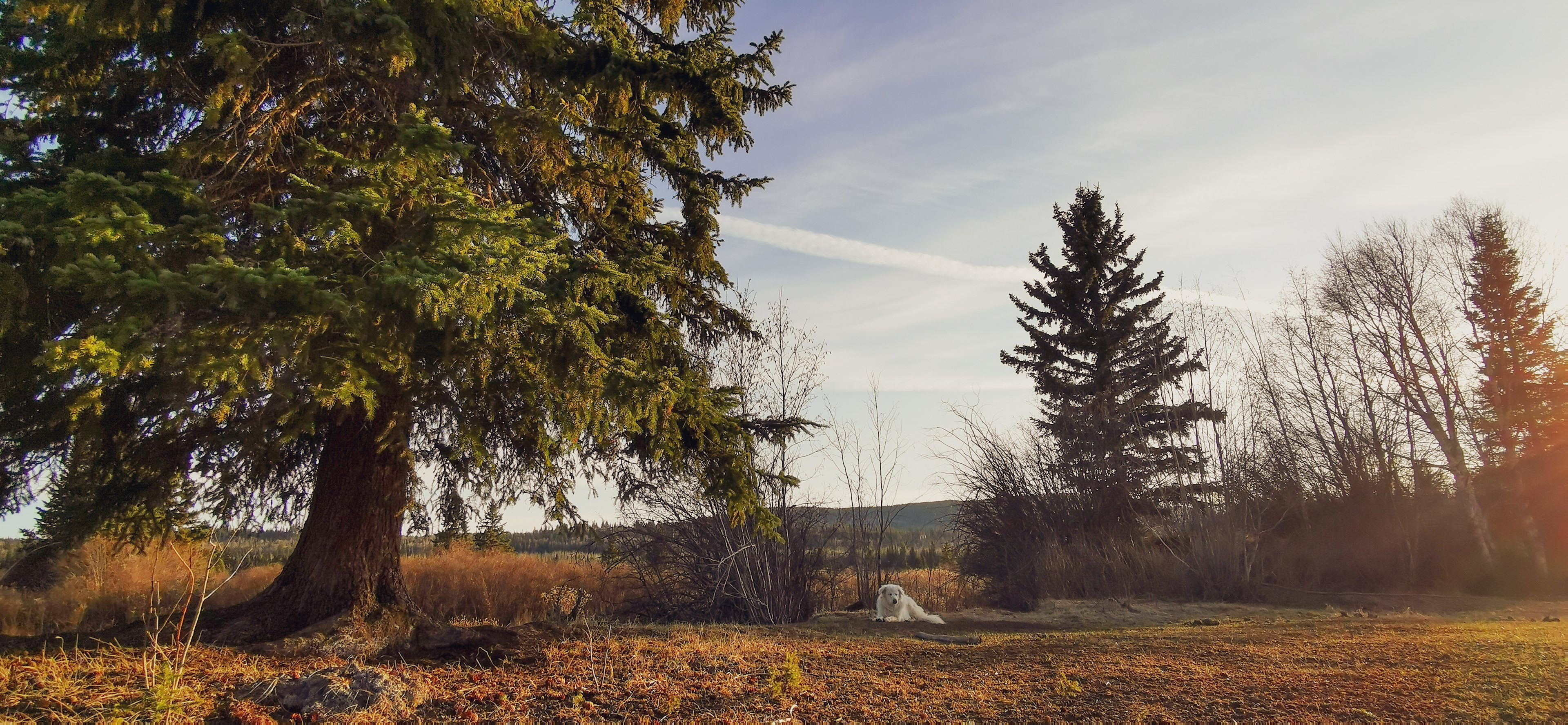 Raven Creek Ranch