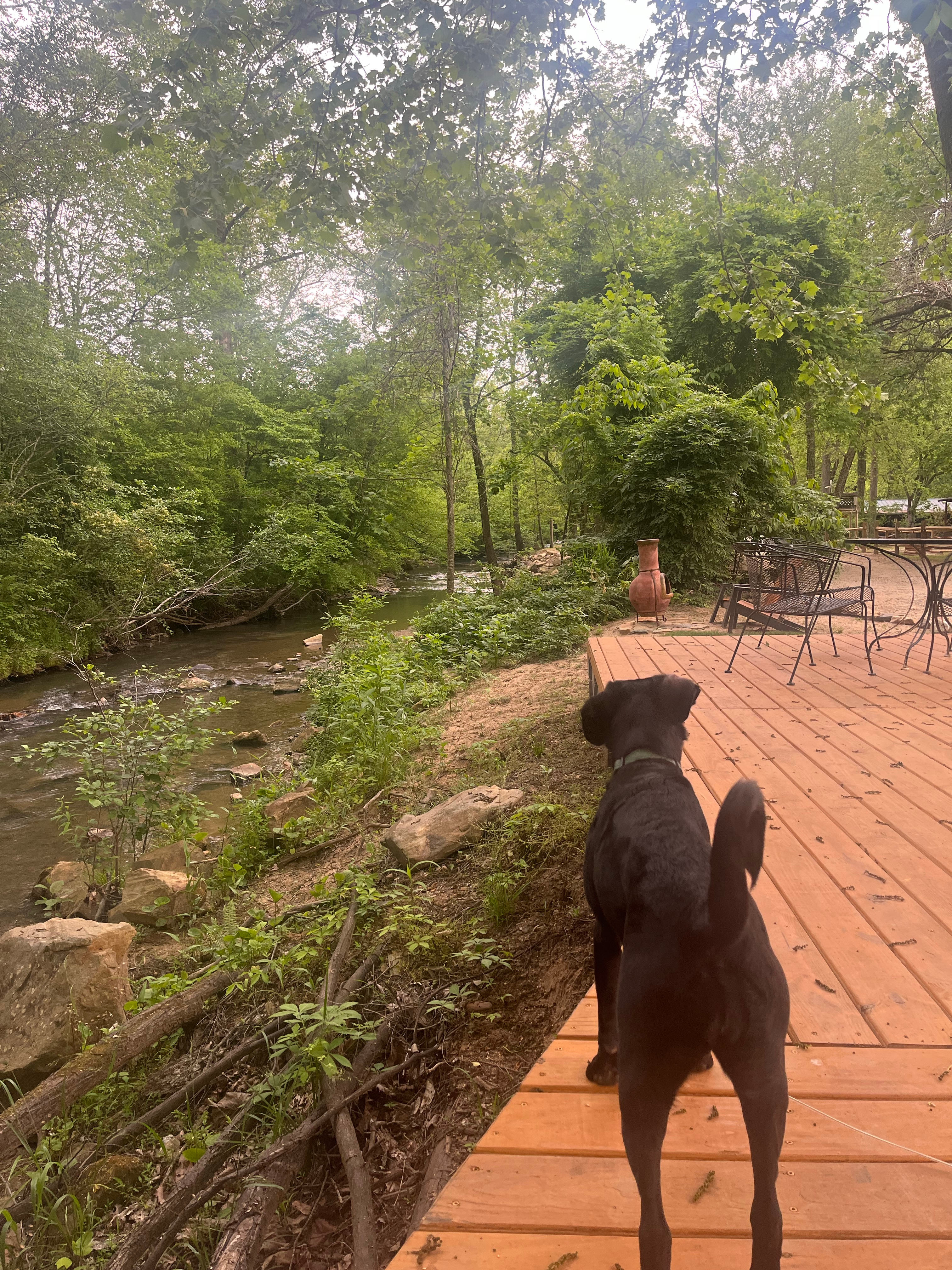 Gold River / camp + cabins