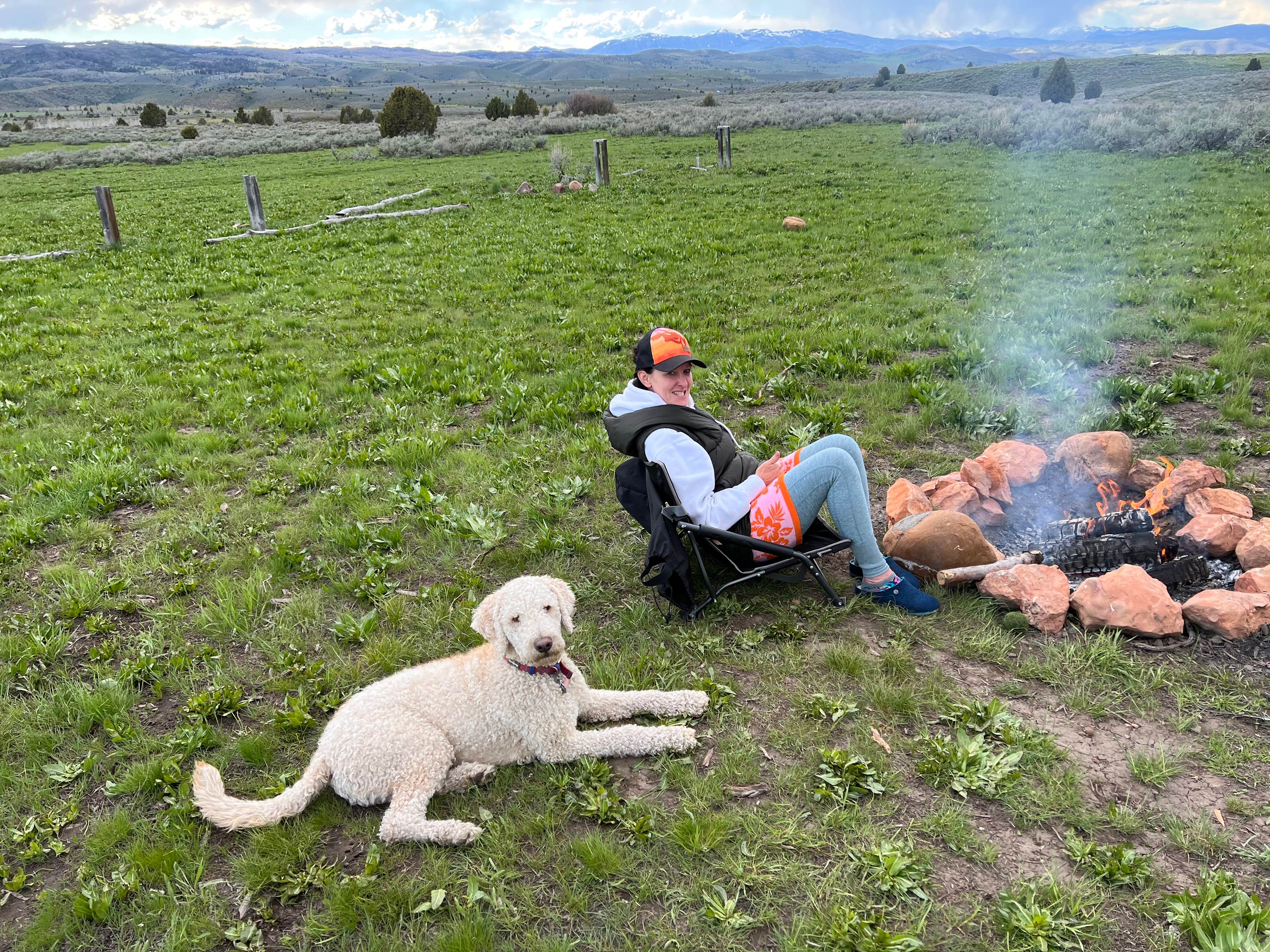 Dogs allowed. Pick up after!!