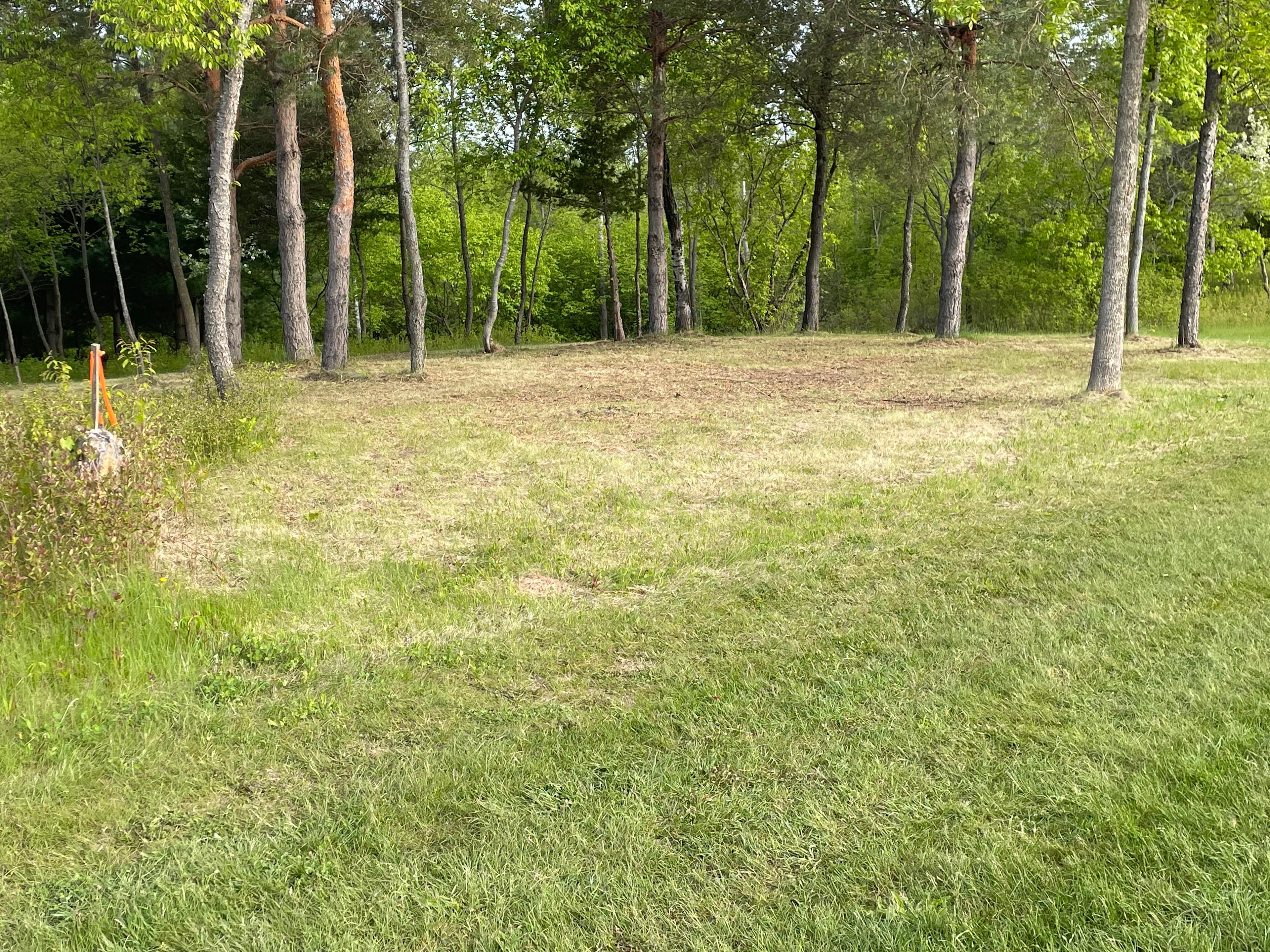Site 2