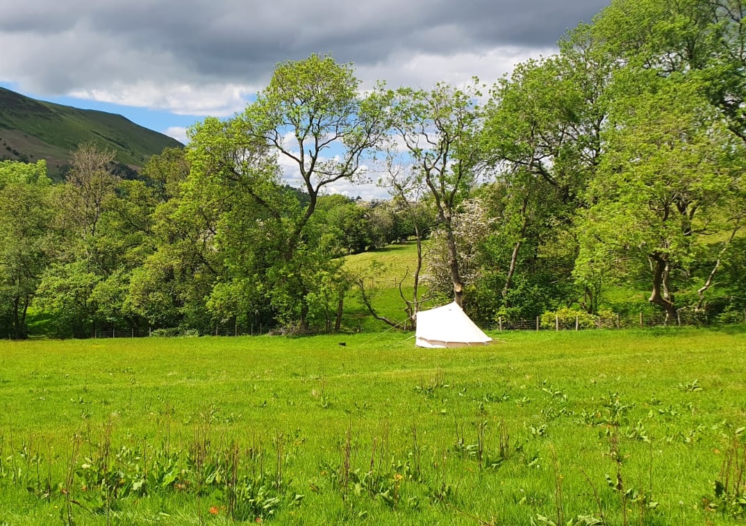 Cwmffrwd Farm Campsite