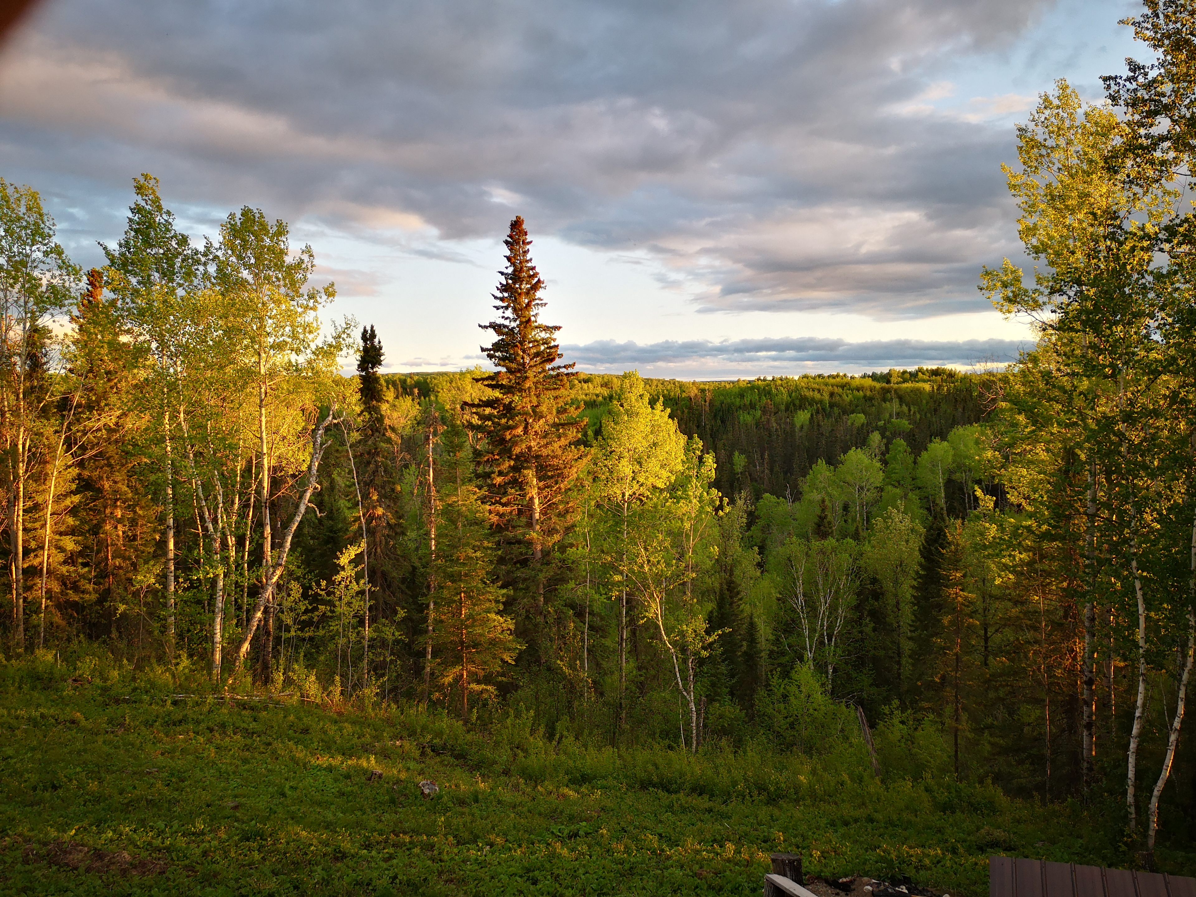 The view from the backyard, fire pit and deck.