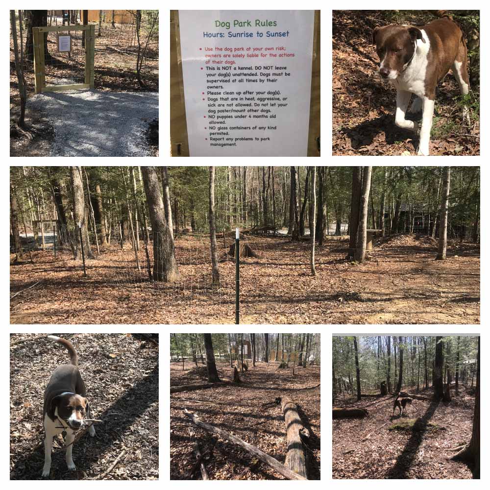 Greeter Falls Campground