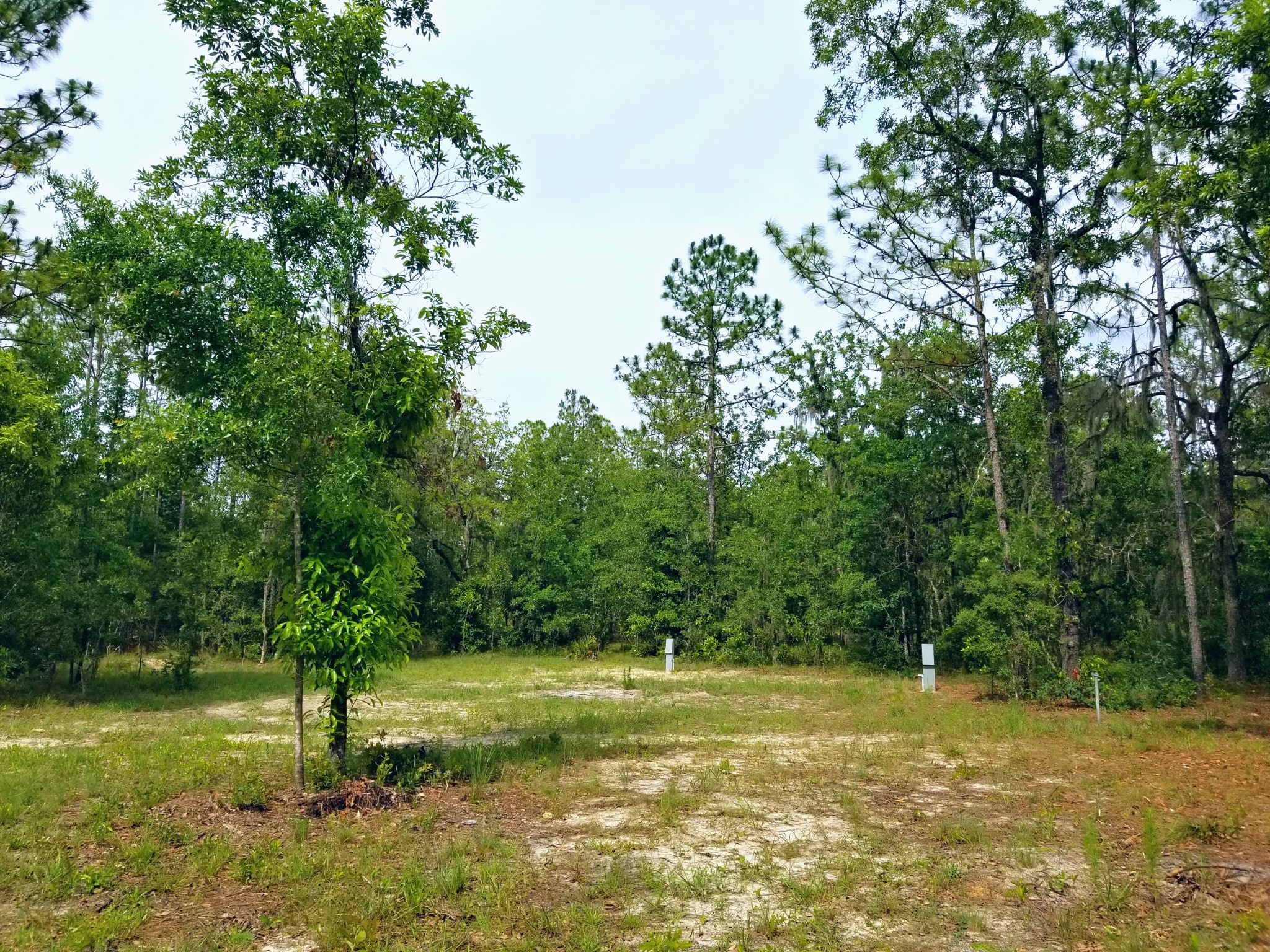 RV campsite where you will be parked. Only one booking is allowed at a time so you won't have any neighbors.  
