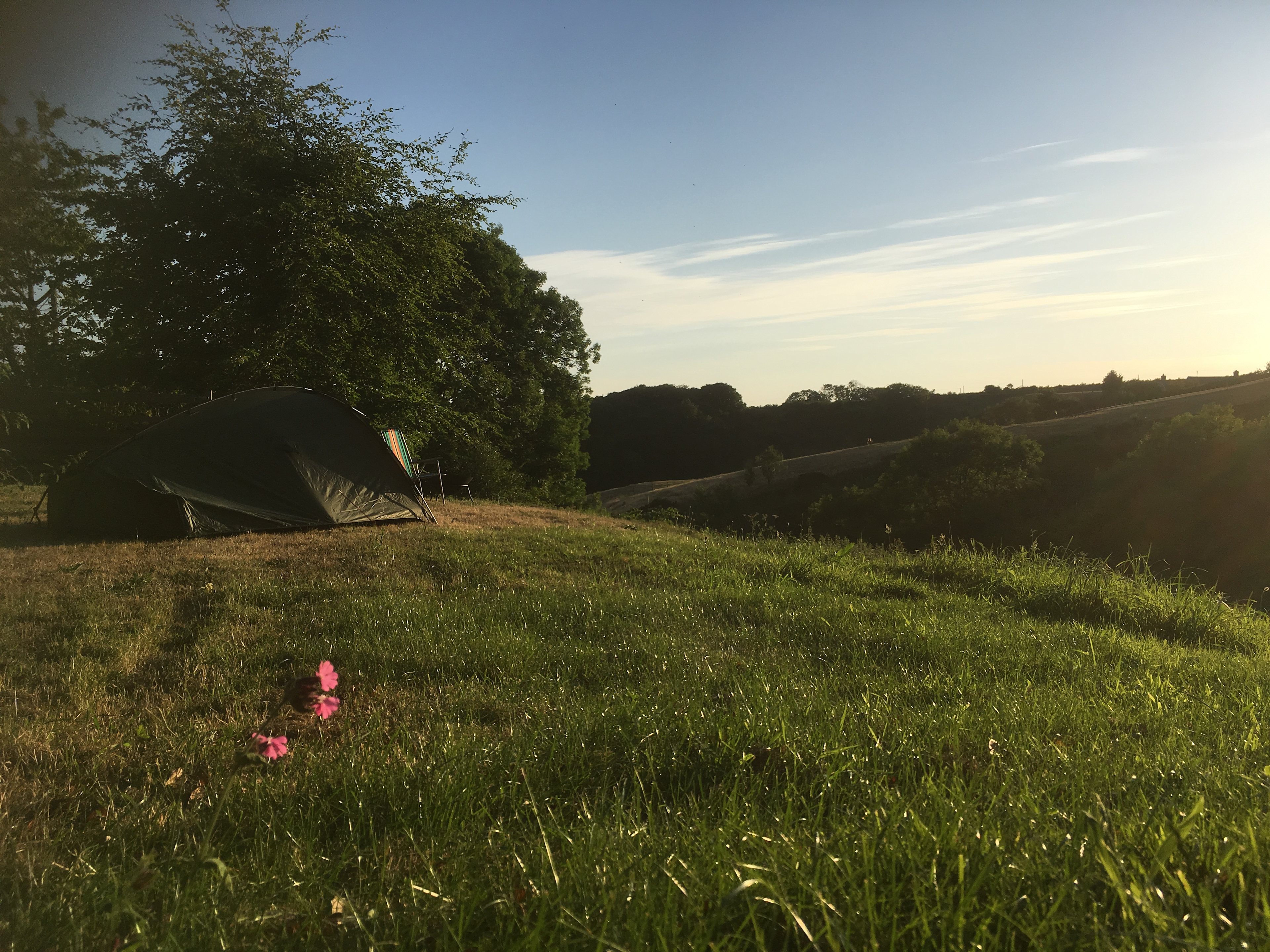Sun of a Pitch 
Overlooking the valley - suitable for medium size tents or 2 smaller tents (5m wide max)