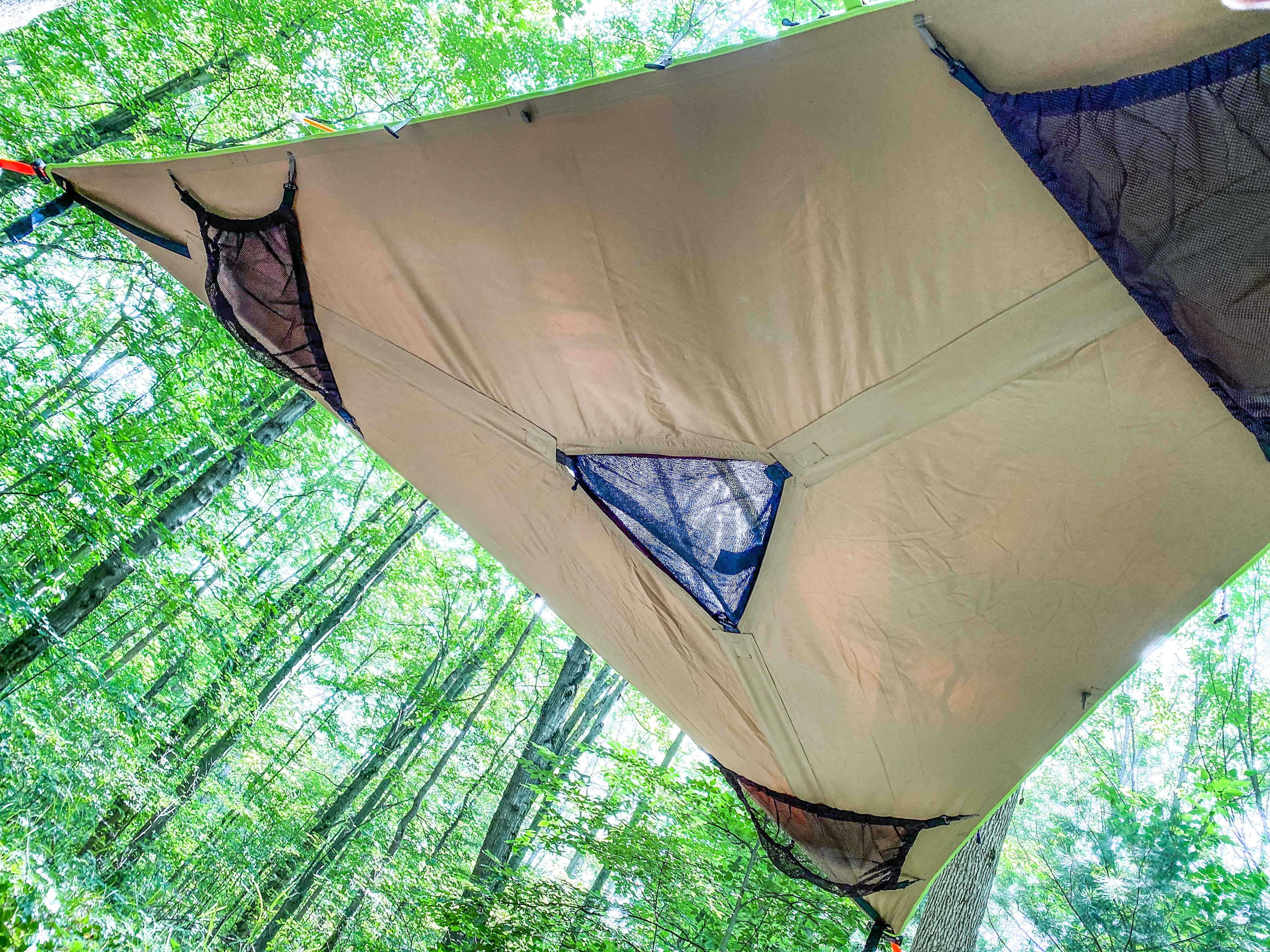Hanging Oasis in the Trees