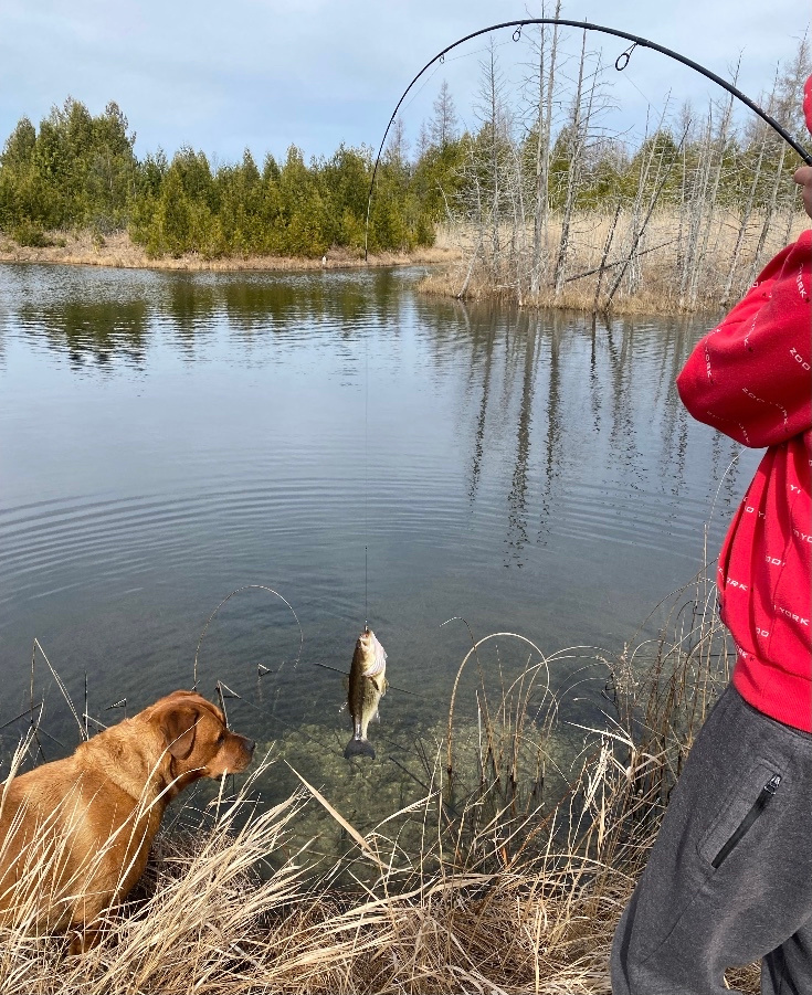 R&R Back Road Country Retreat