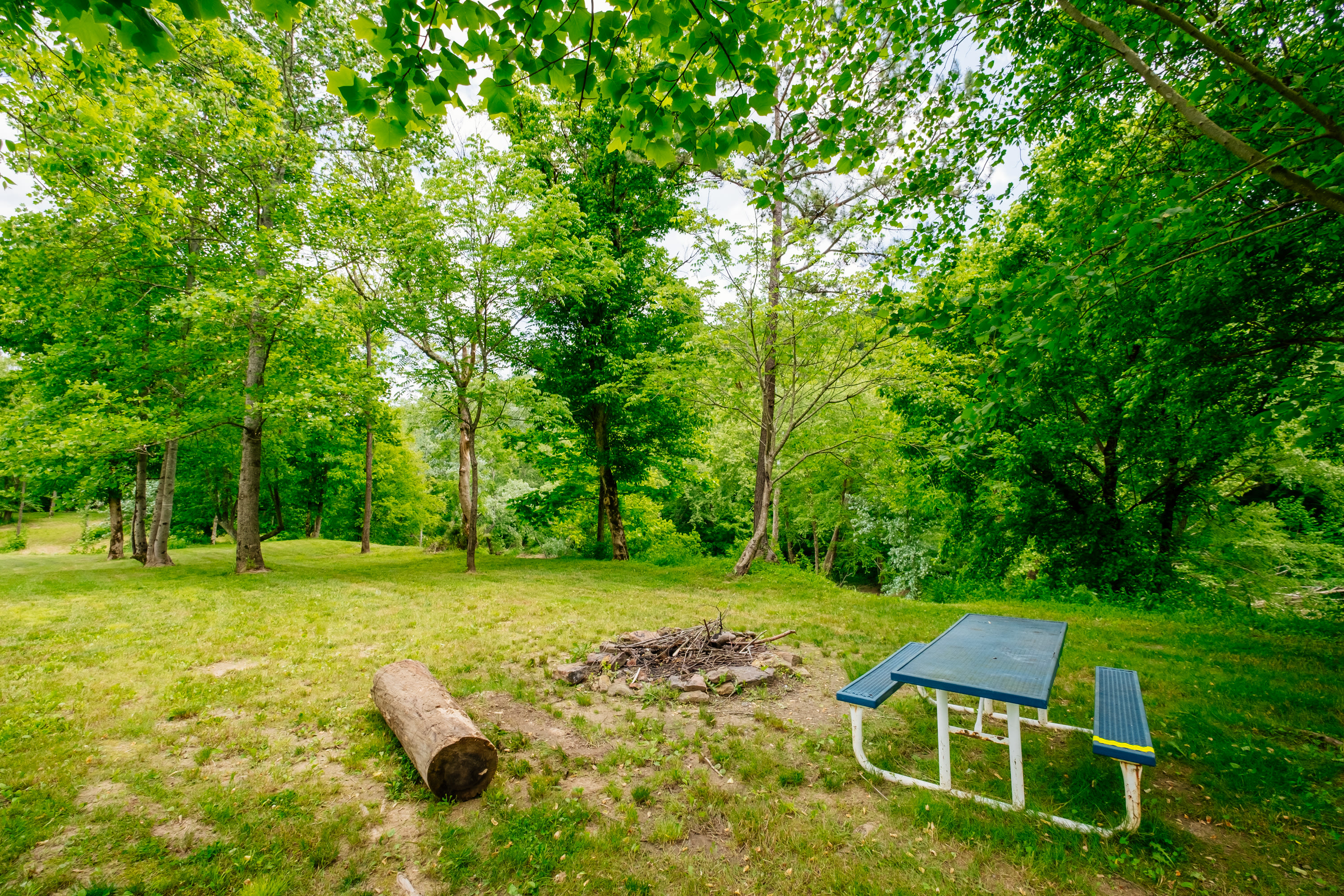 Large group firepit