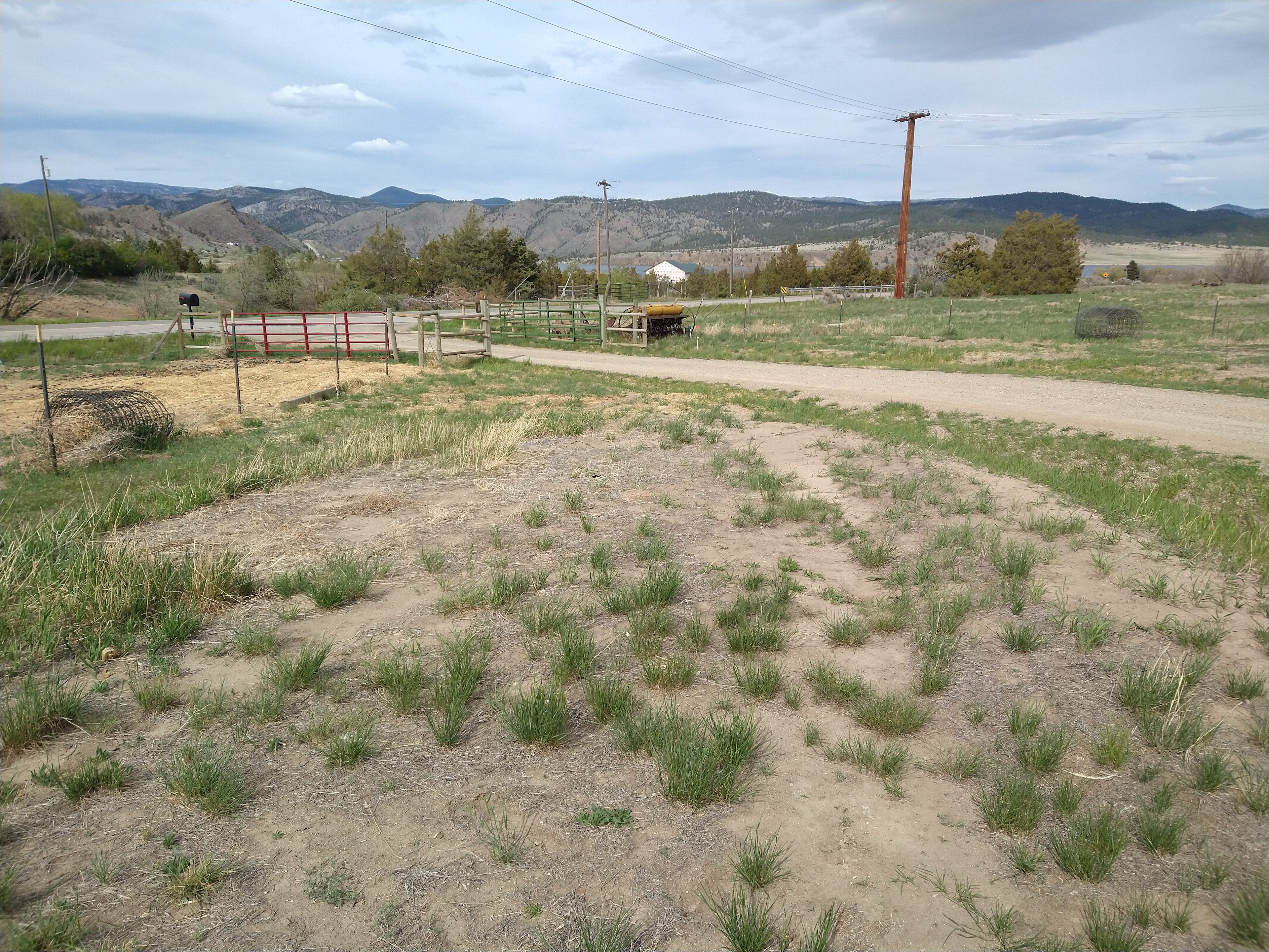 Site 1