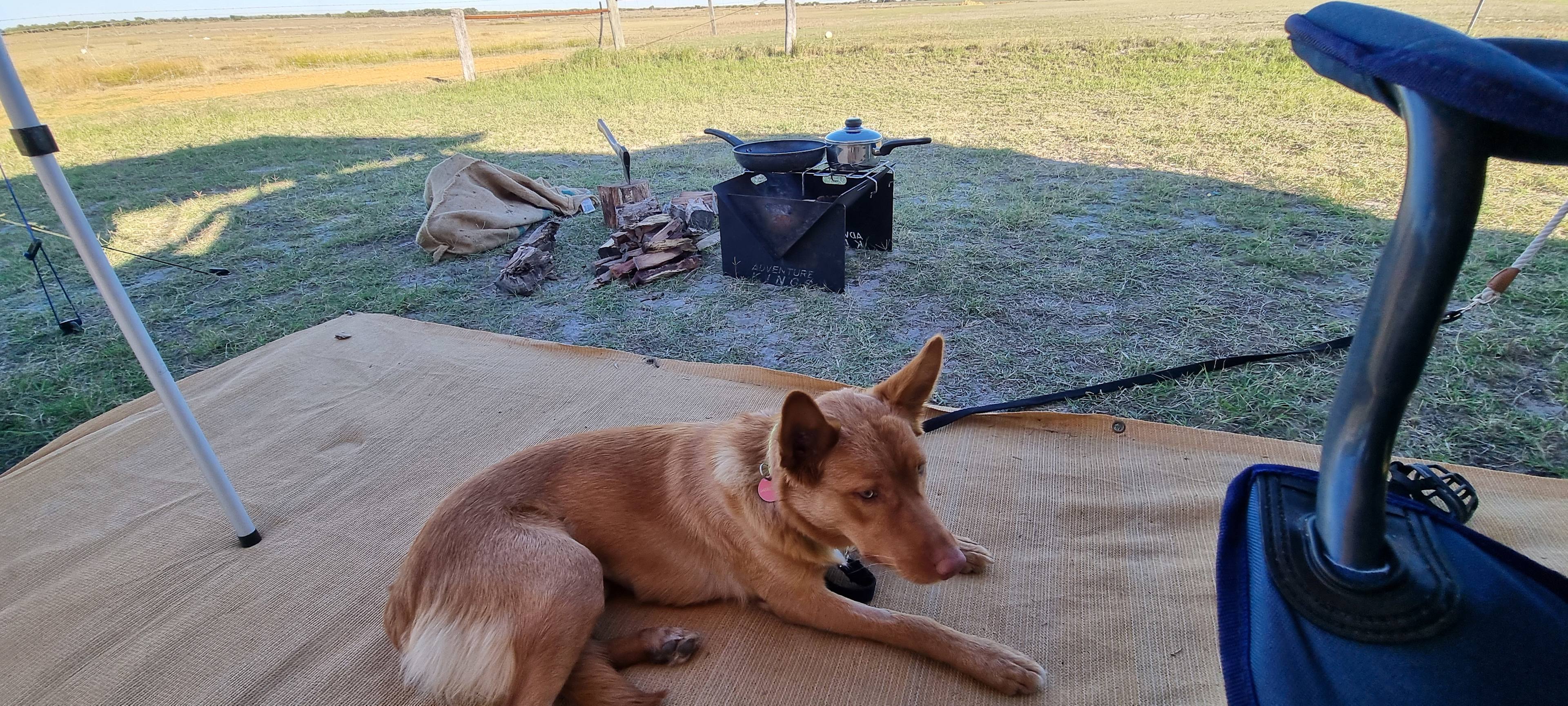 Nambung Station Stay