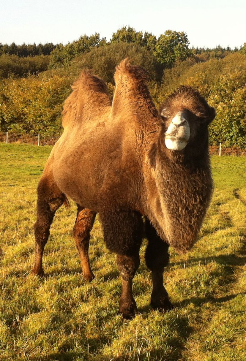 Tomkins Farm