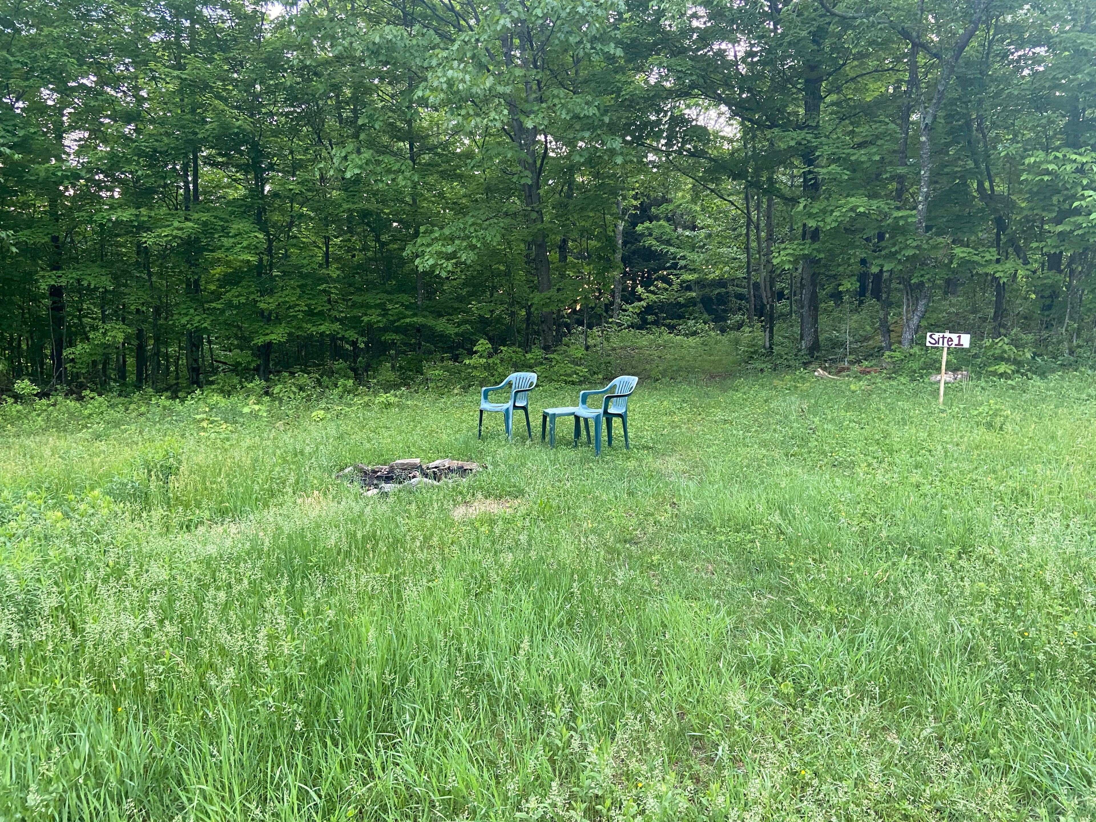 Peregrine Farm and Forest
