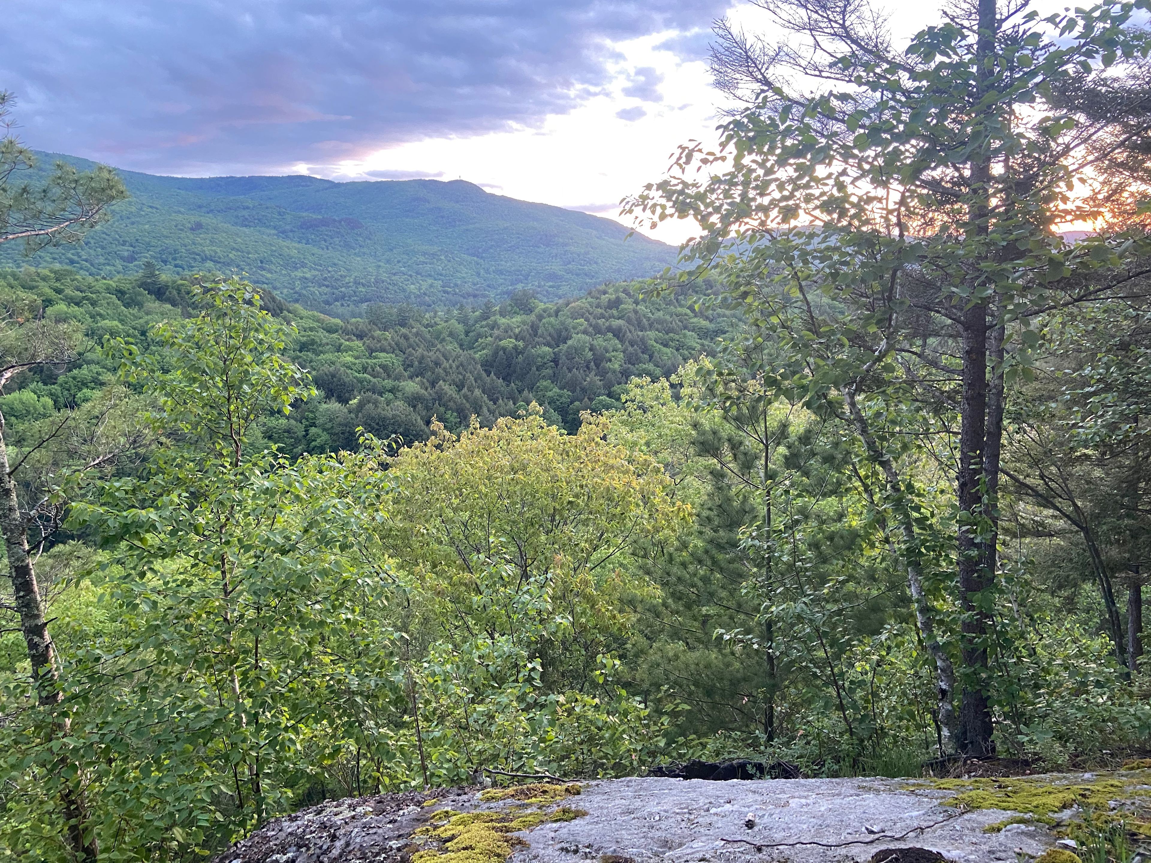 Peregrine Farm and Forest