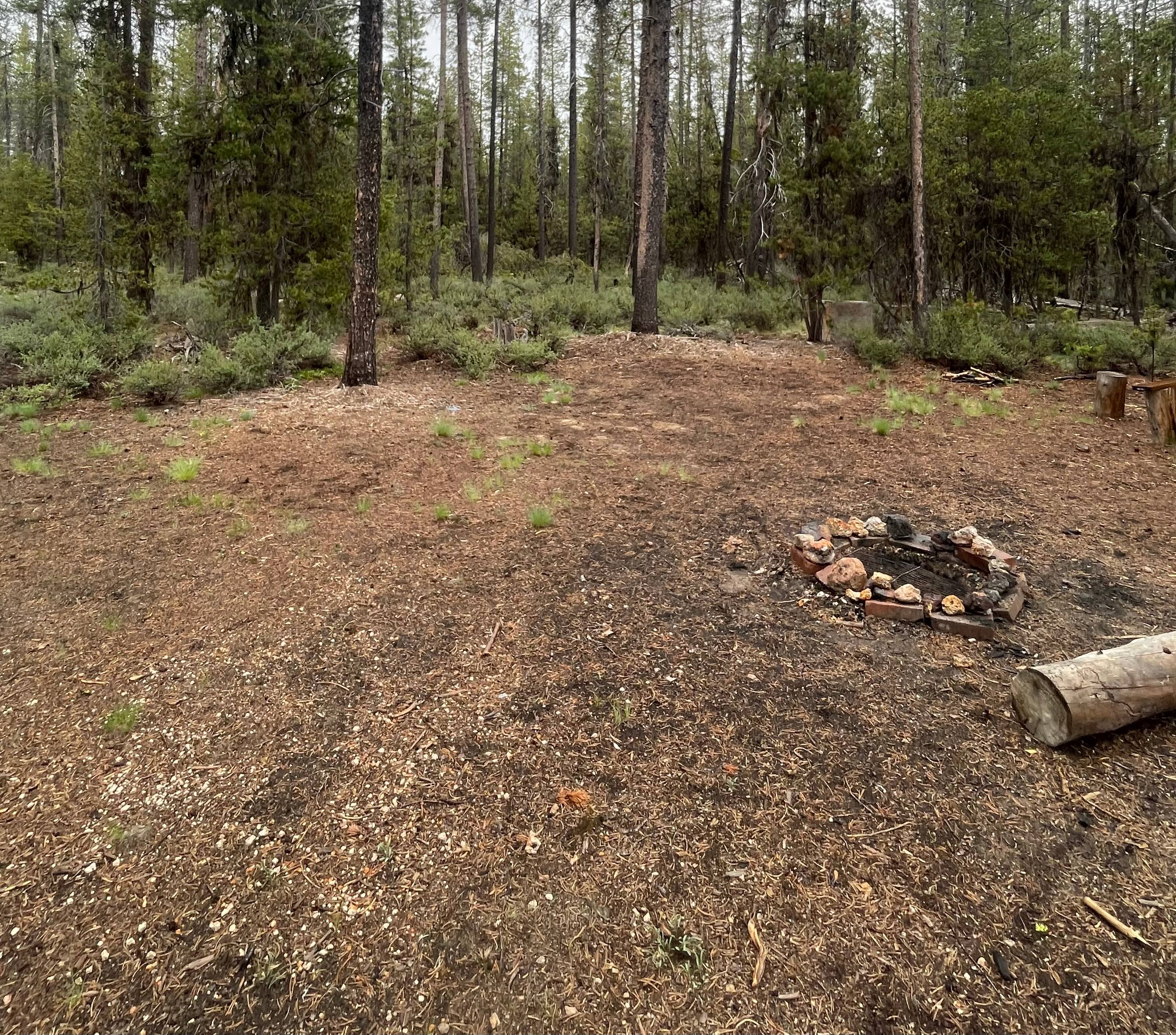 Mt. Scott Camping