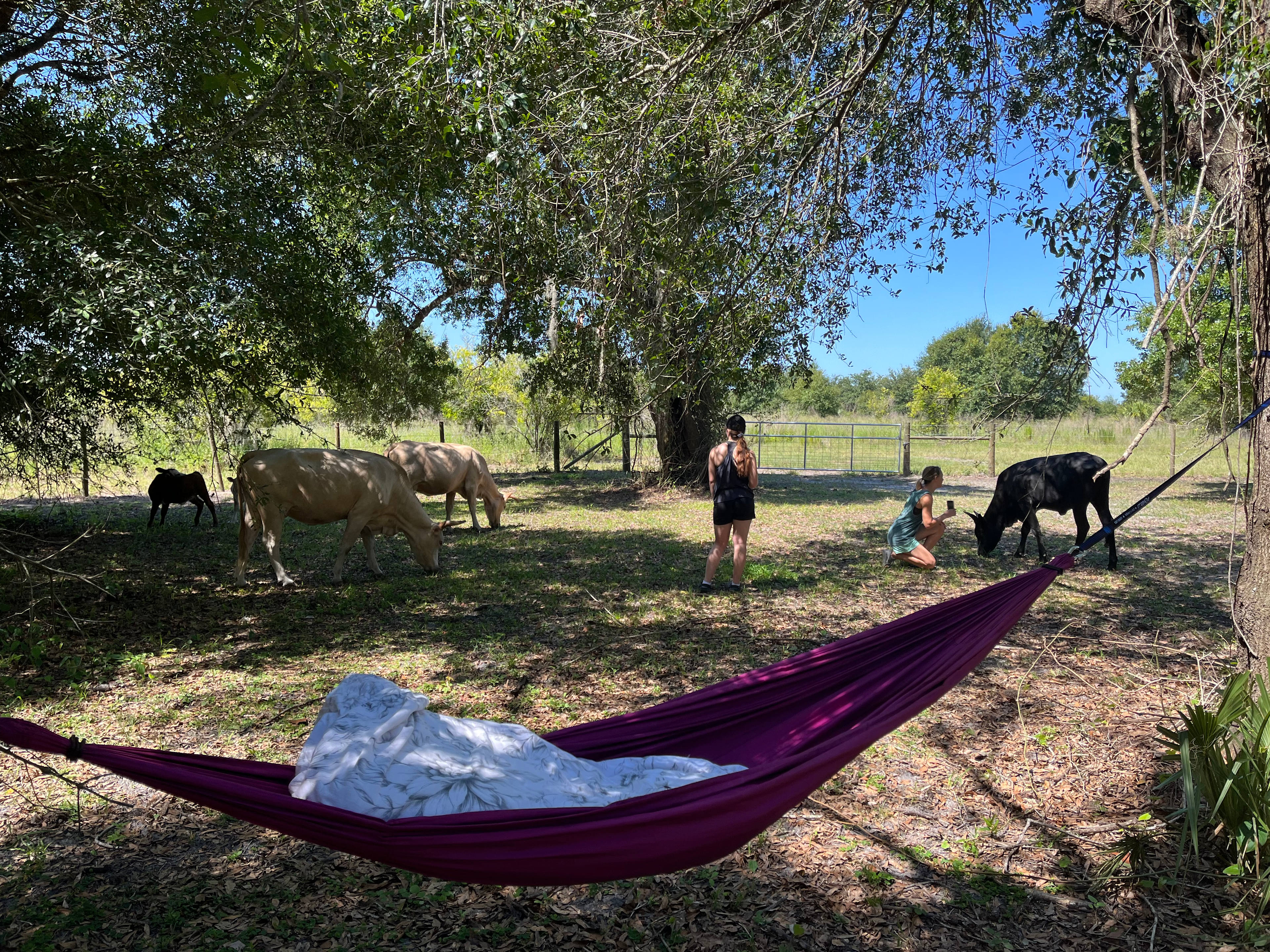 Privacy in Fort Ogden