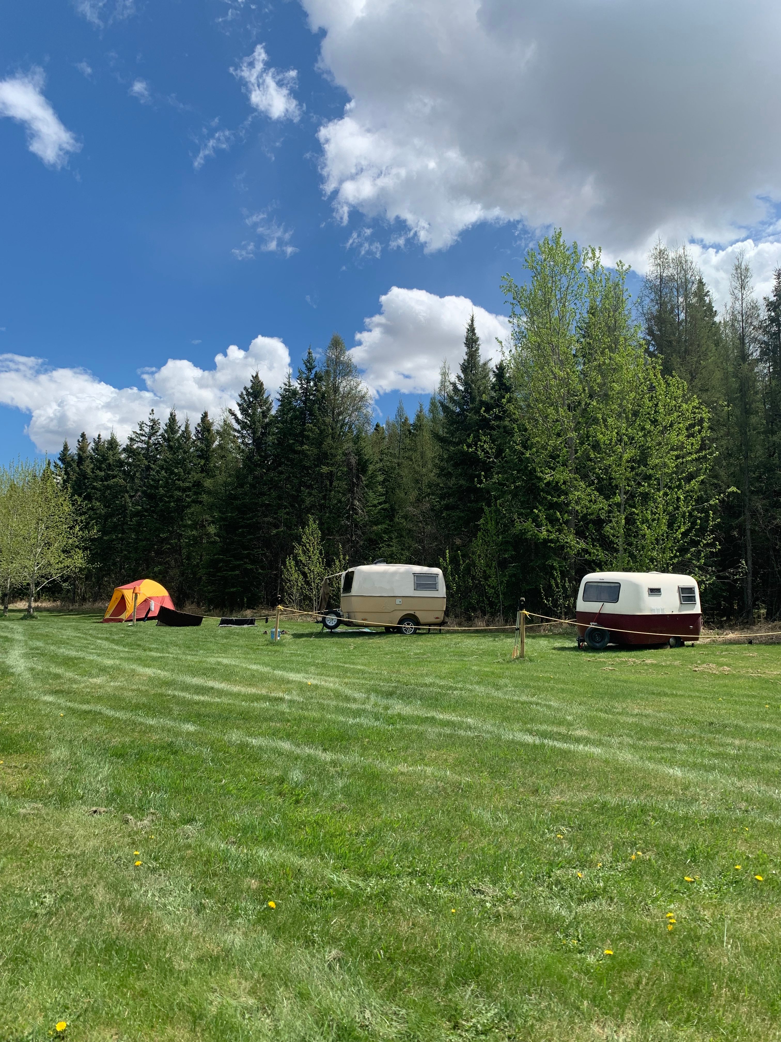 Riverside camp with Highland Cows